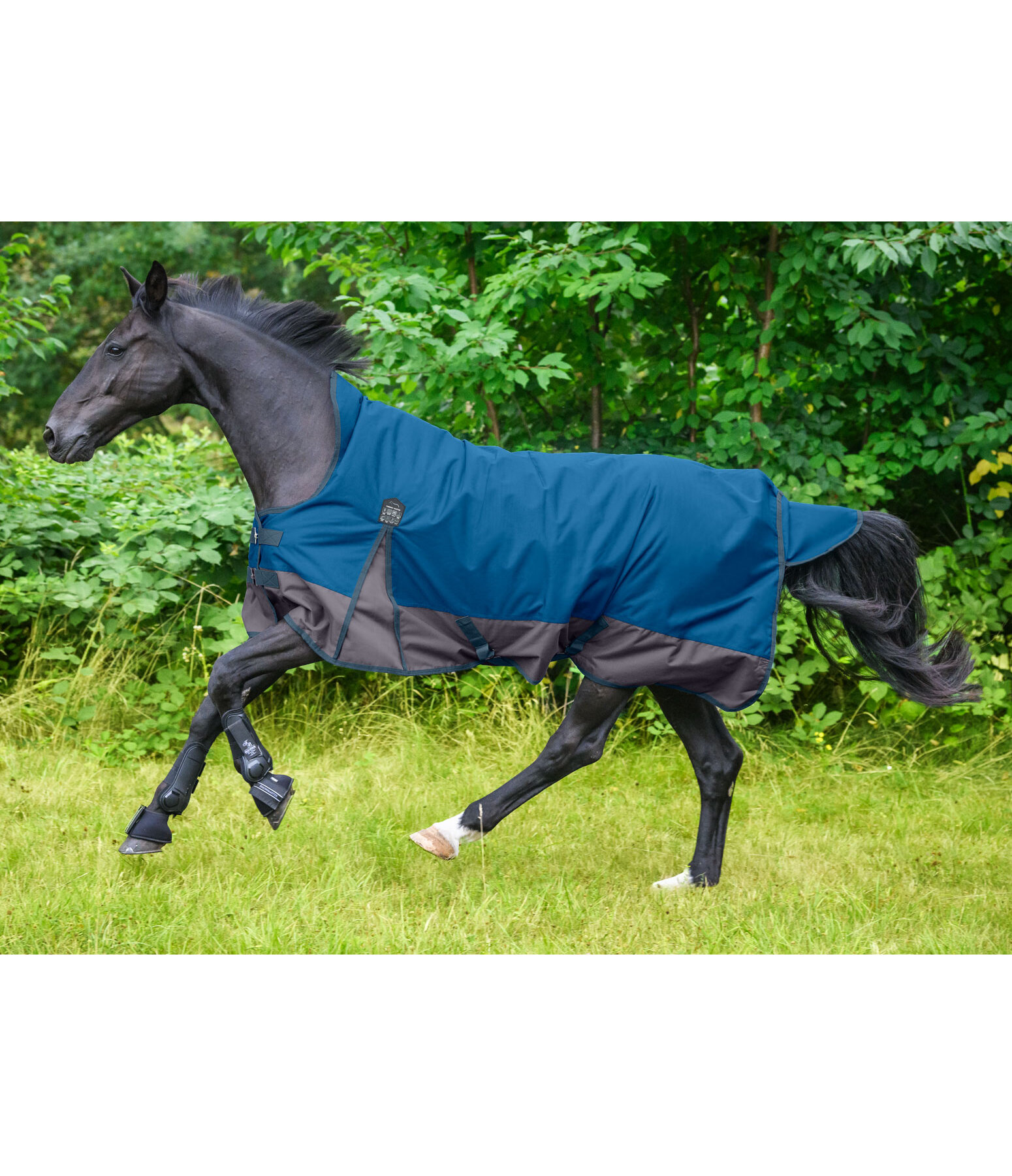 High Neck Turnout Rug Abegail, 50g