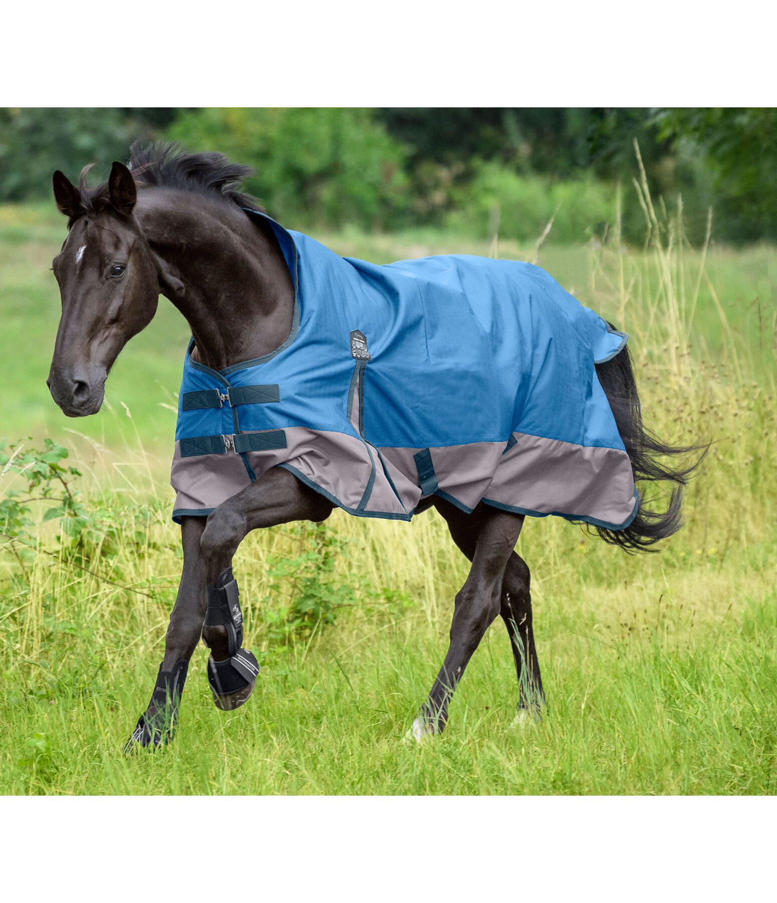 High Neck Turnout Rug Abegail, 50g