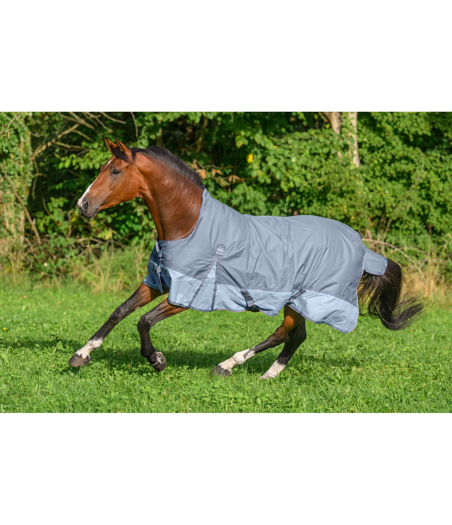 High Neck Turnout Rug Abegail, 50g