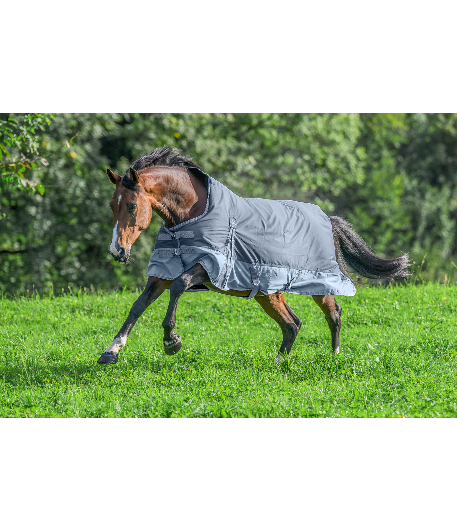 High Neck Turnout Rug Abegail, 50g