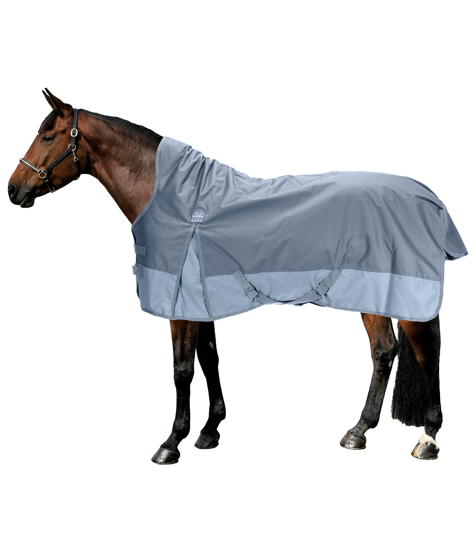 High Neck Turnout Rug Abegail, 150g