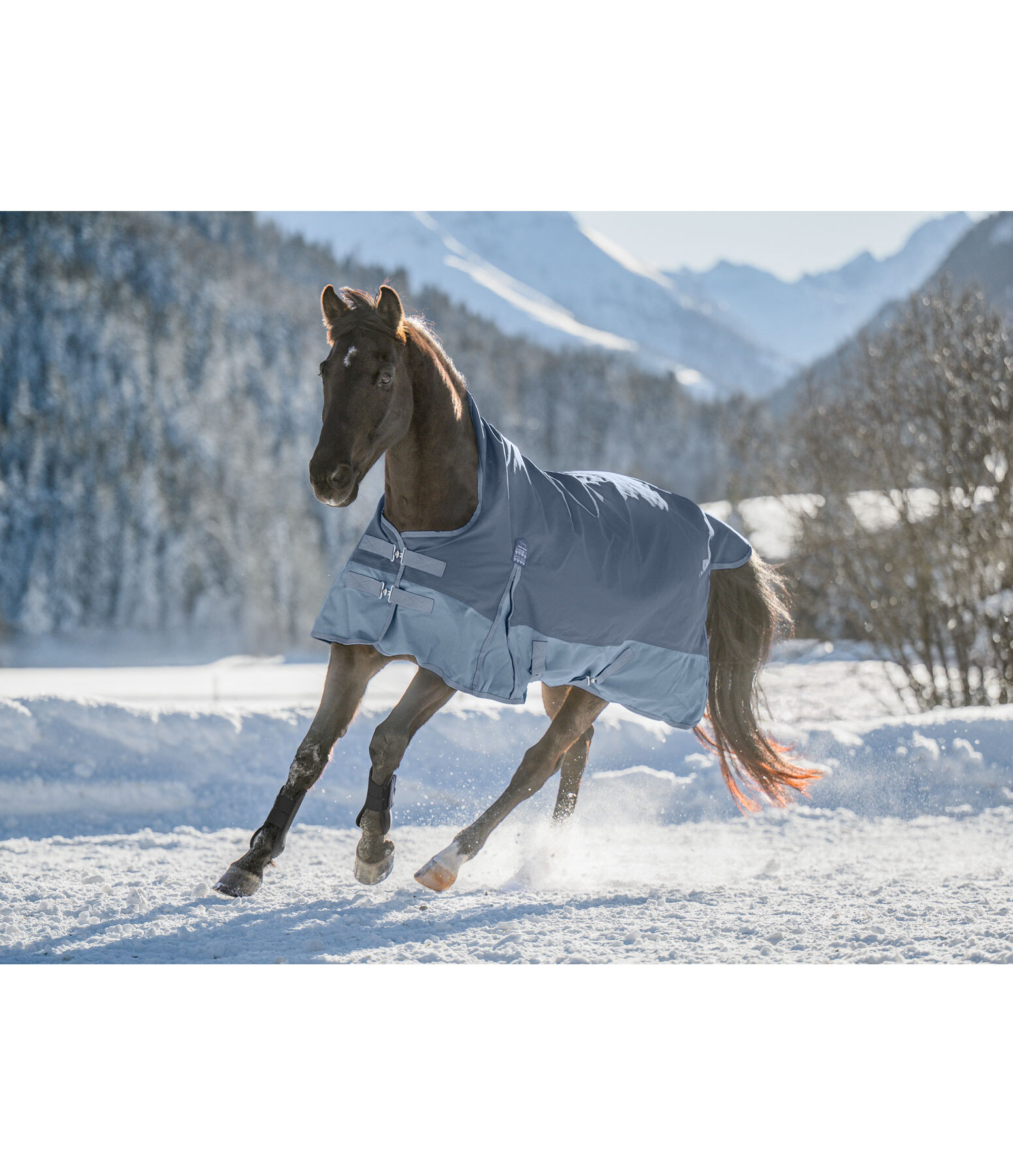 High Neck Turnout Rug Abegail, 150g