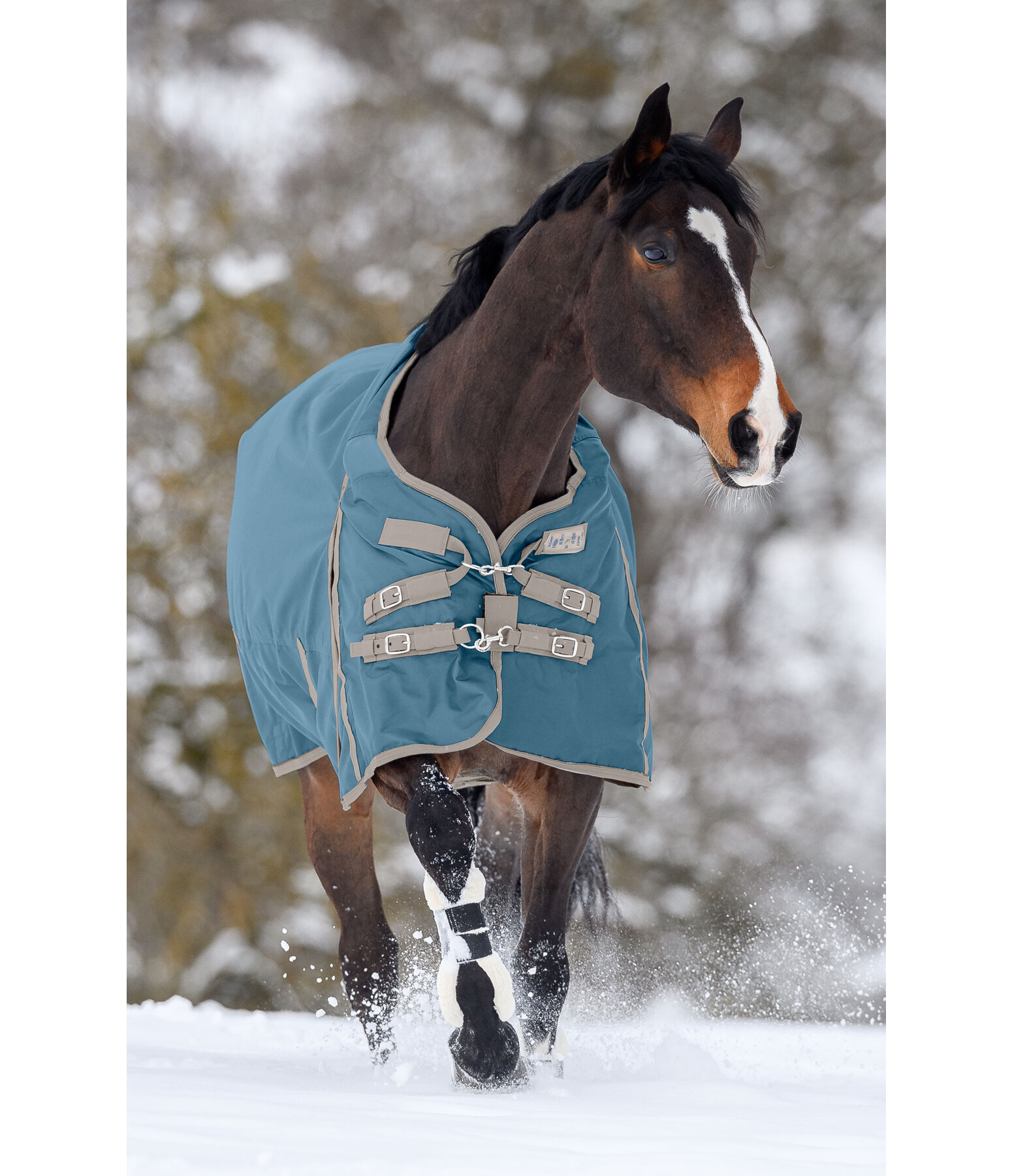 Regular Neck Turnout Rug Perfect Fit, 100g