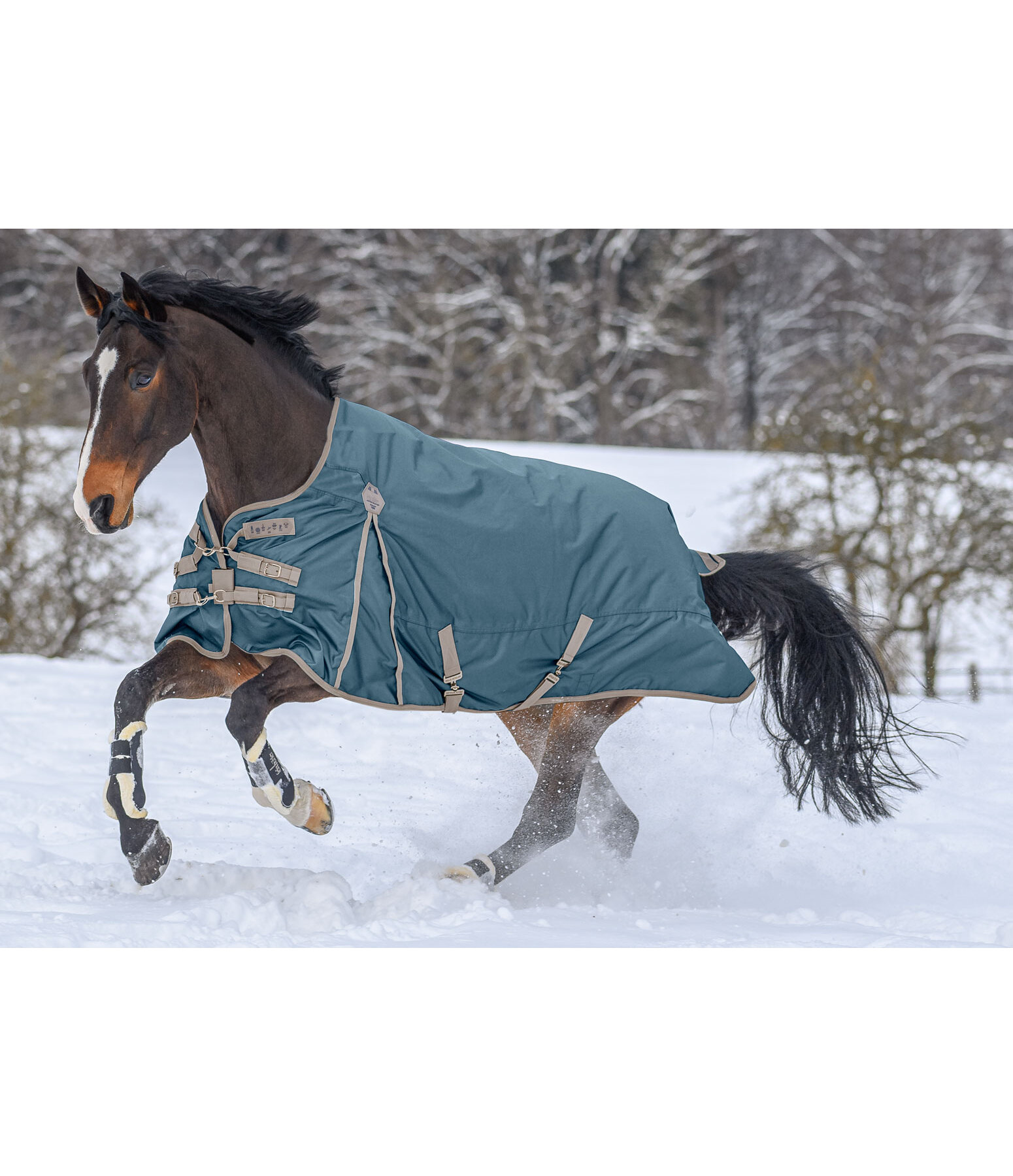 Regular Neck Turnout Rug Perfect Fit, 100g