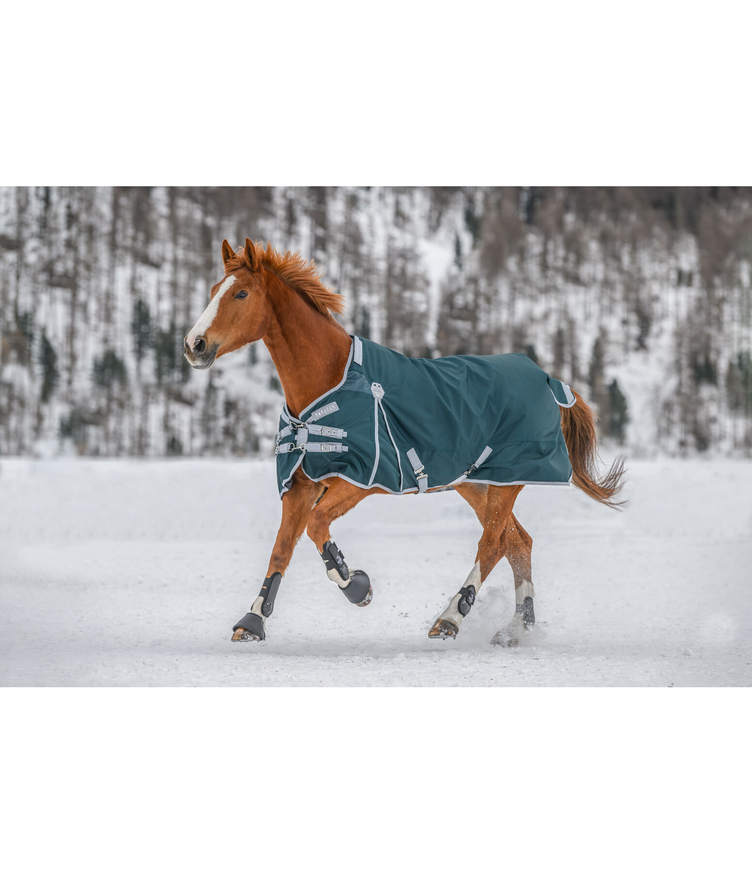 Regular Neck Turnout Rug Perfect Fit, 200g