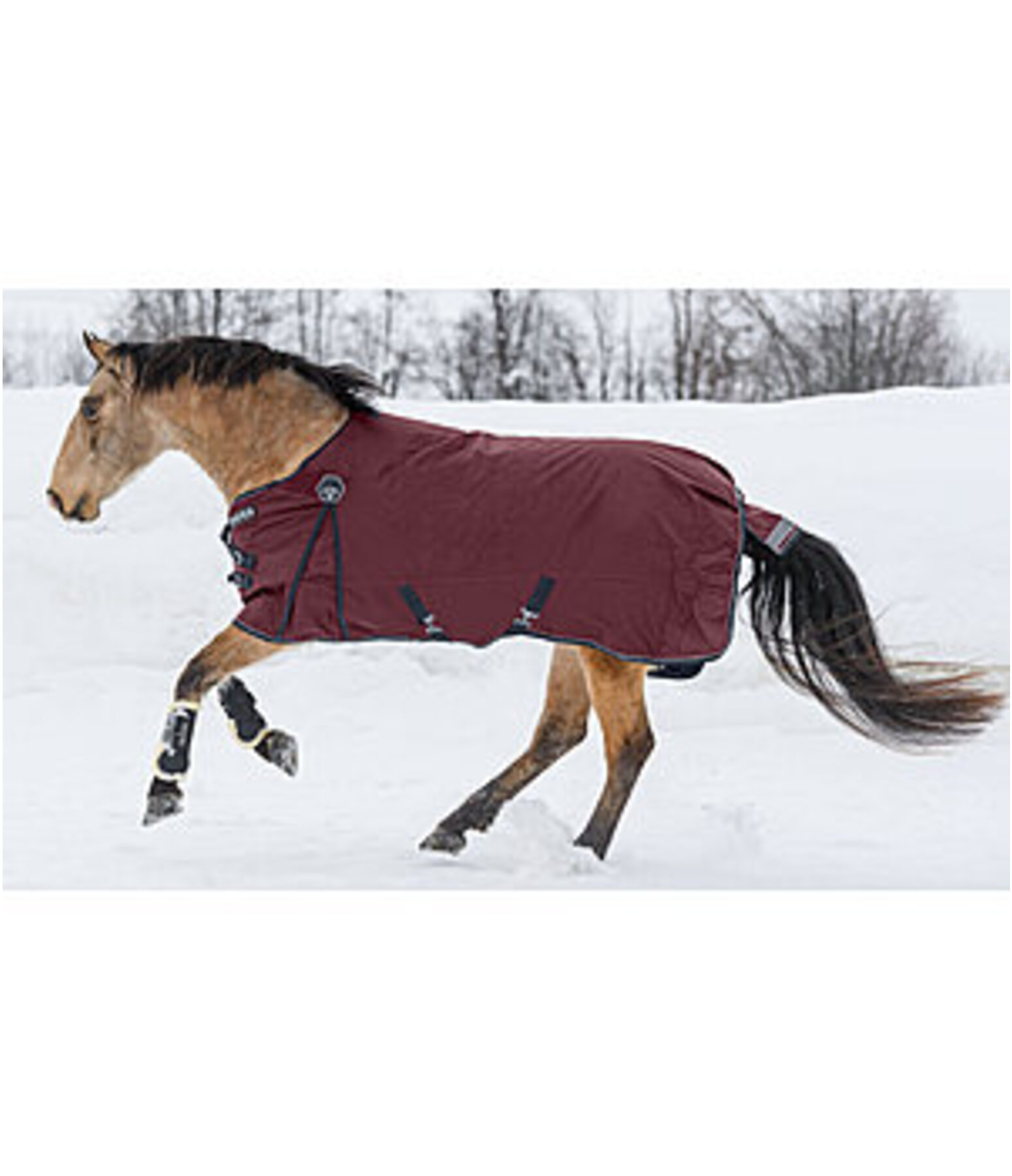 Regular Neck Turnout Rug Perfect Fit, 200g