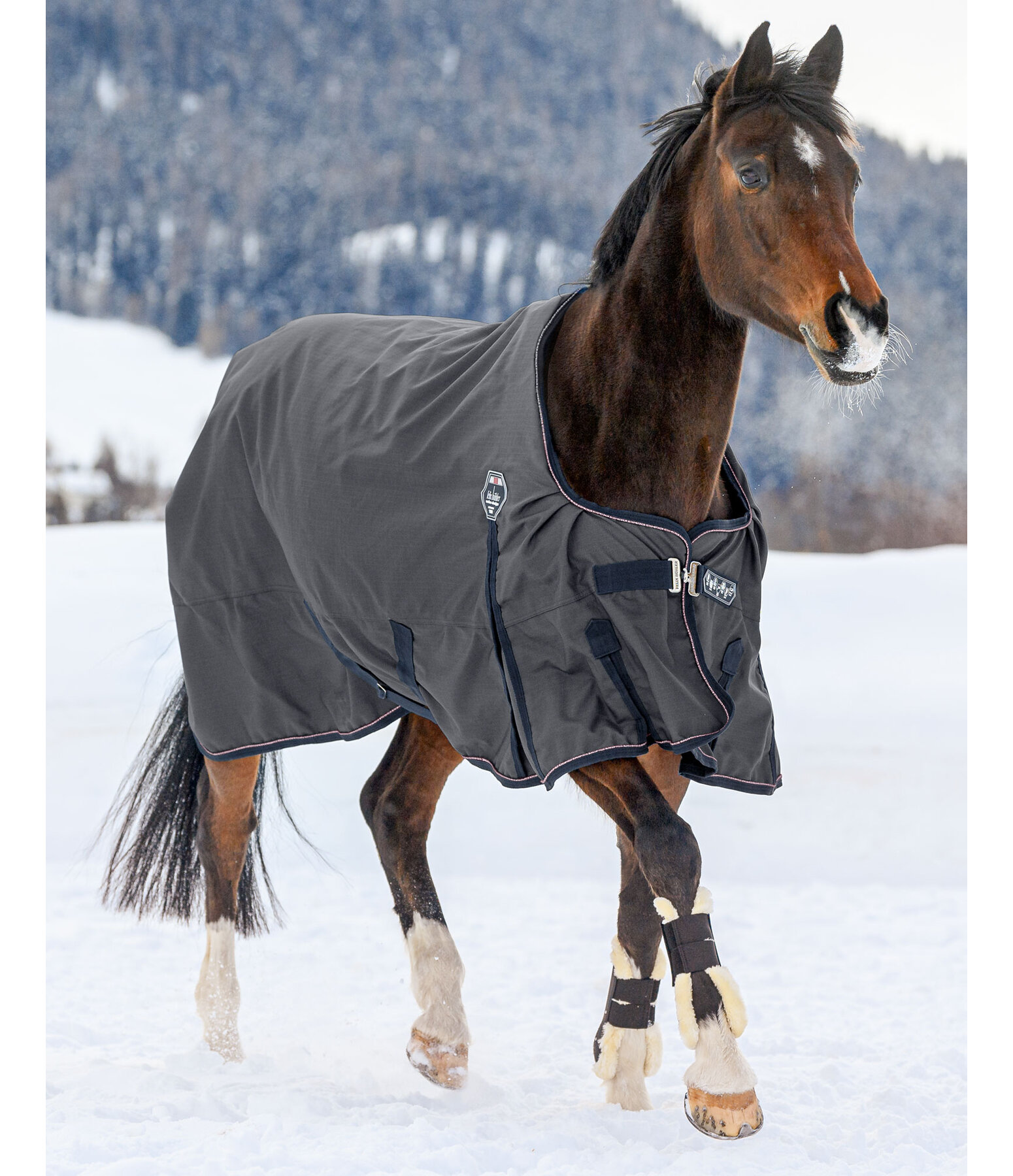 Turnout Rug with Sweat Off Microfibre Lining, 75g