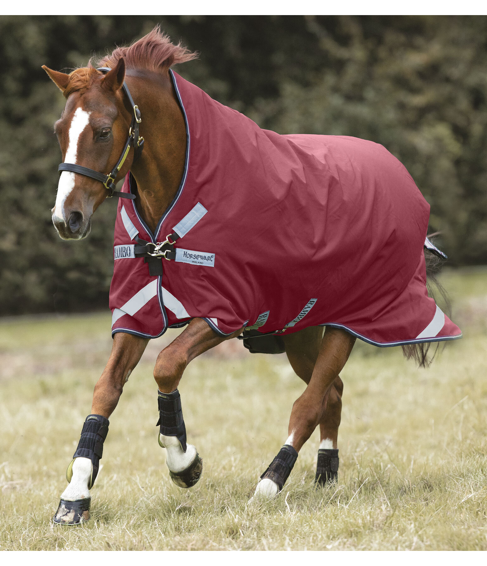 RAMBO Wug Lite, 50g Horse Rugs Kramer Equestrian