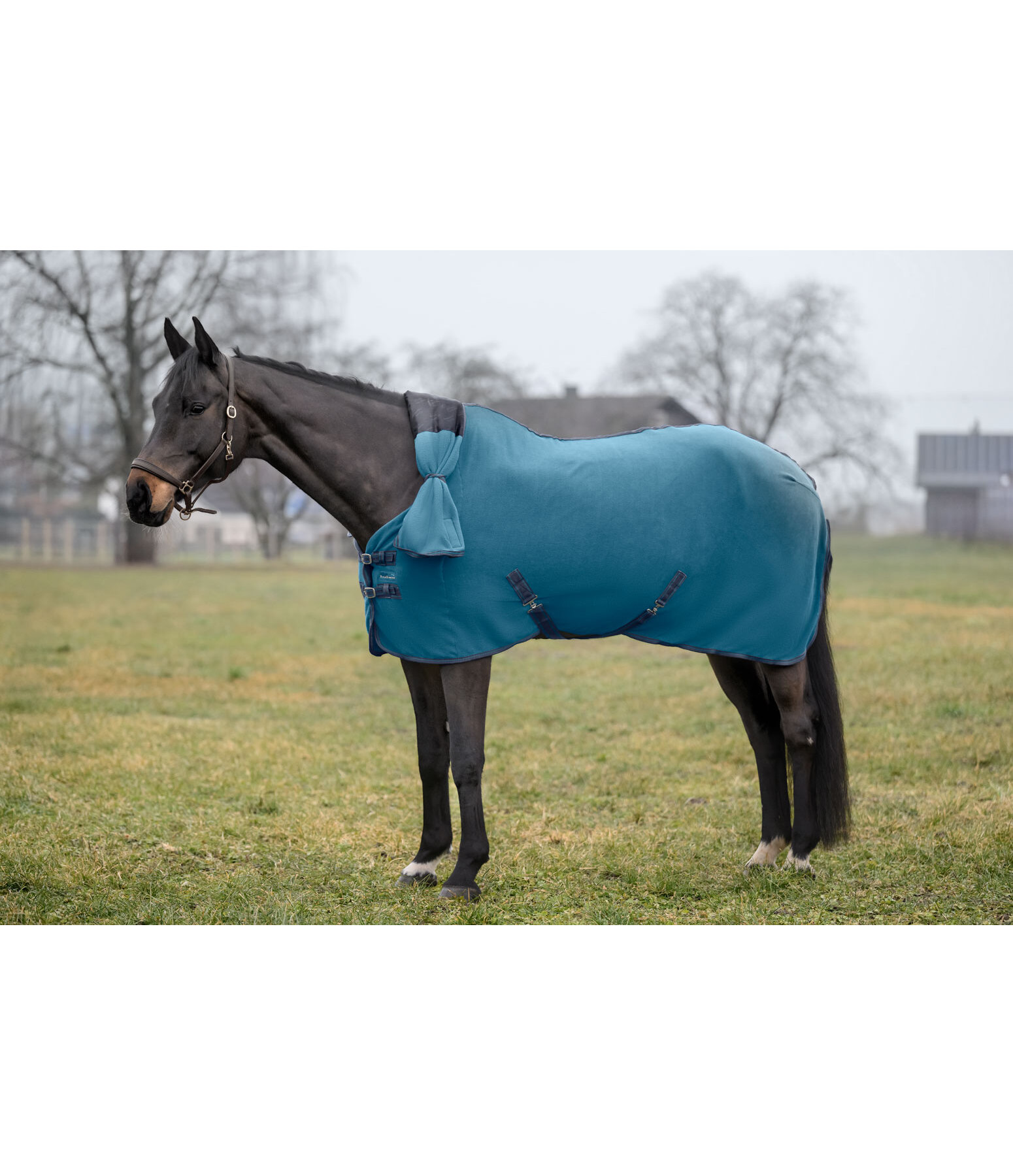 Fleece Rug Activity with Roll-up Neck Piece