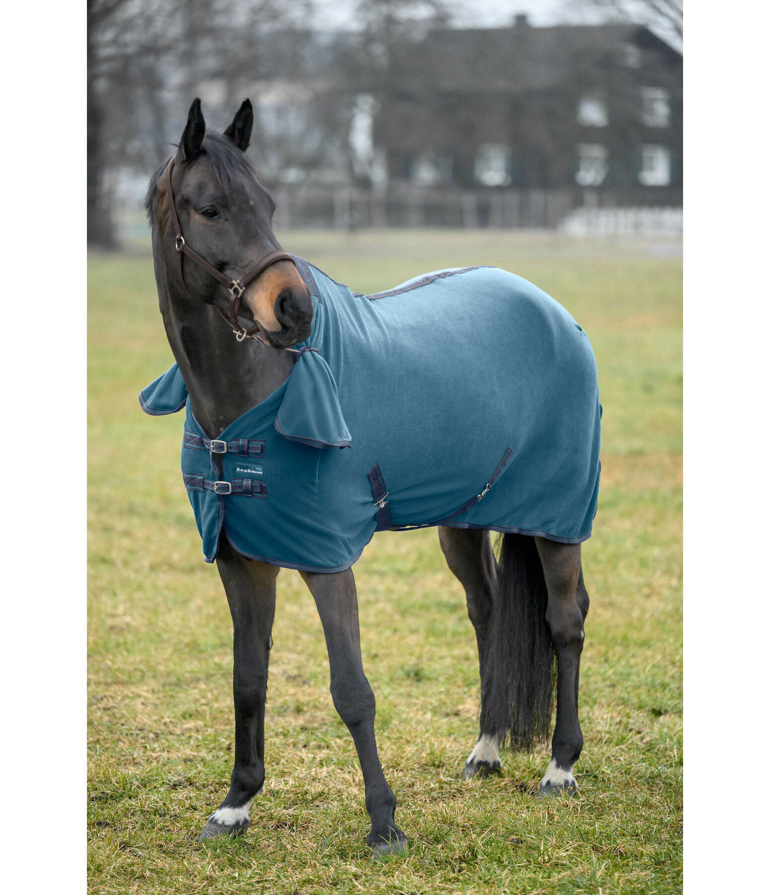 Fleece Rug Activity with Roll-up Neck Piece