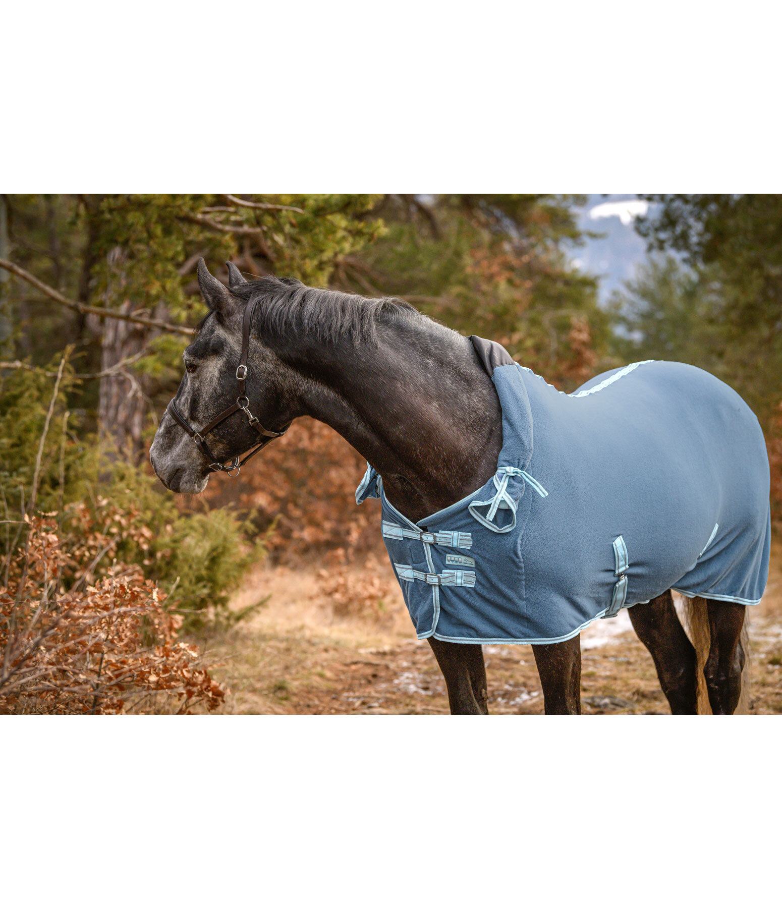 Activity Fleece Rug with Roll-up Neck Piece