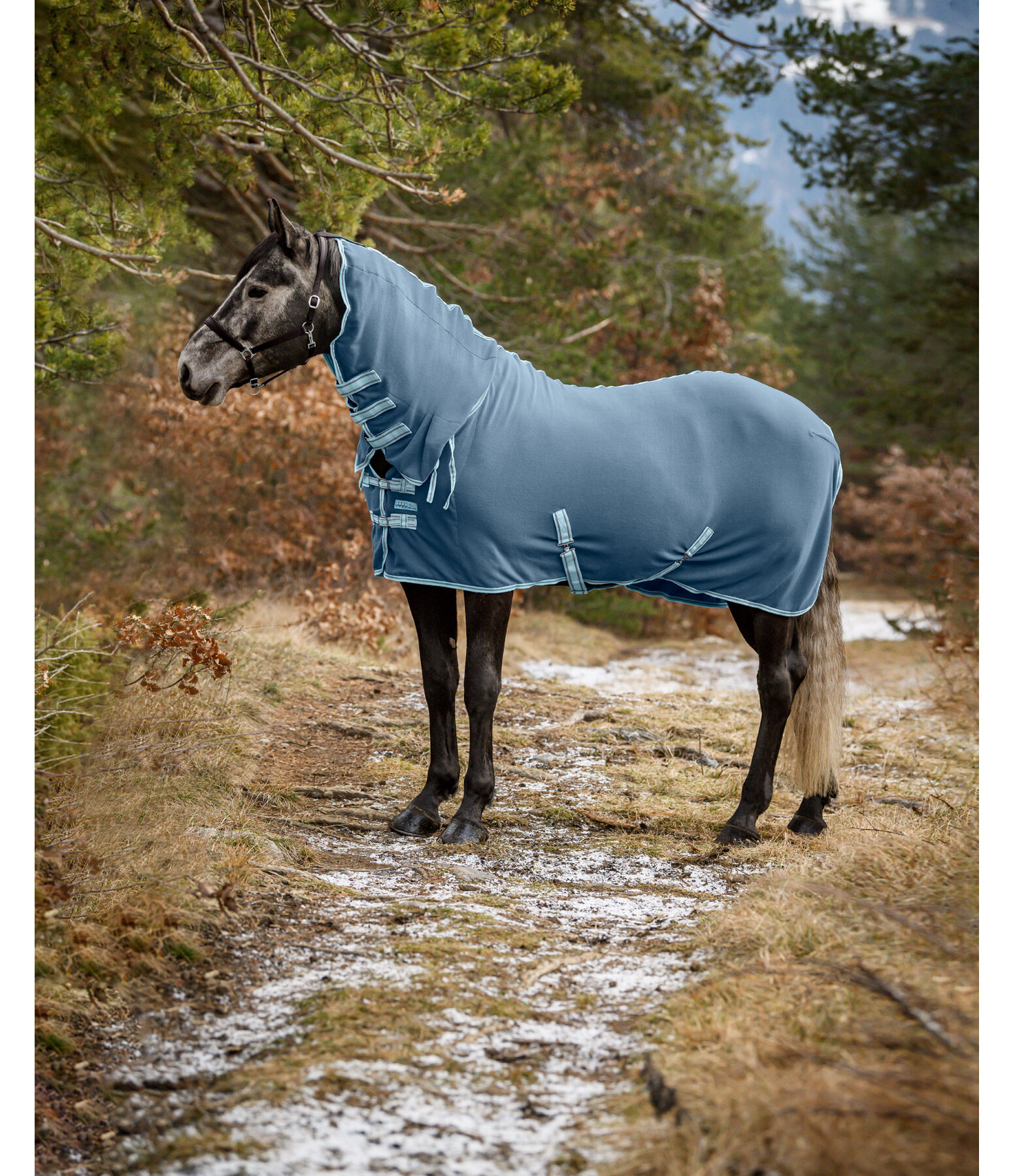 Activity Fleece Rug with Roll-up Neck Piece