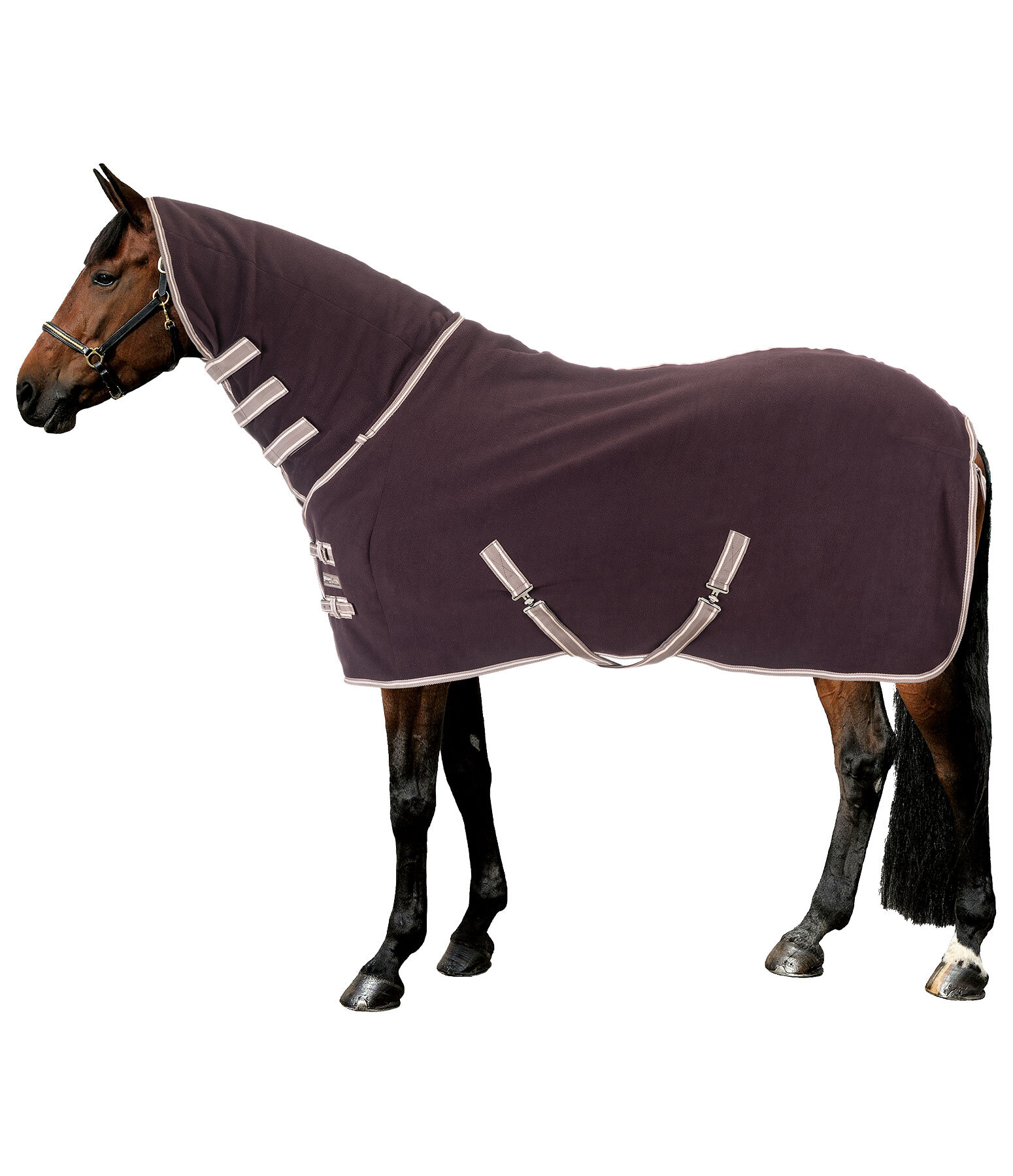Fleece Rug Activity with Roll-up Neck Piece
