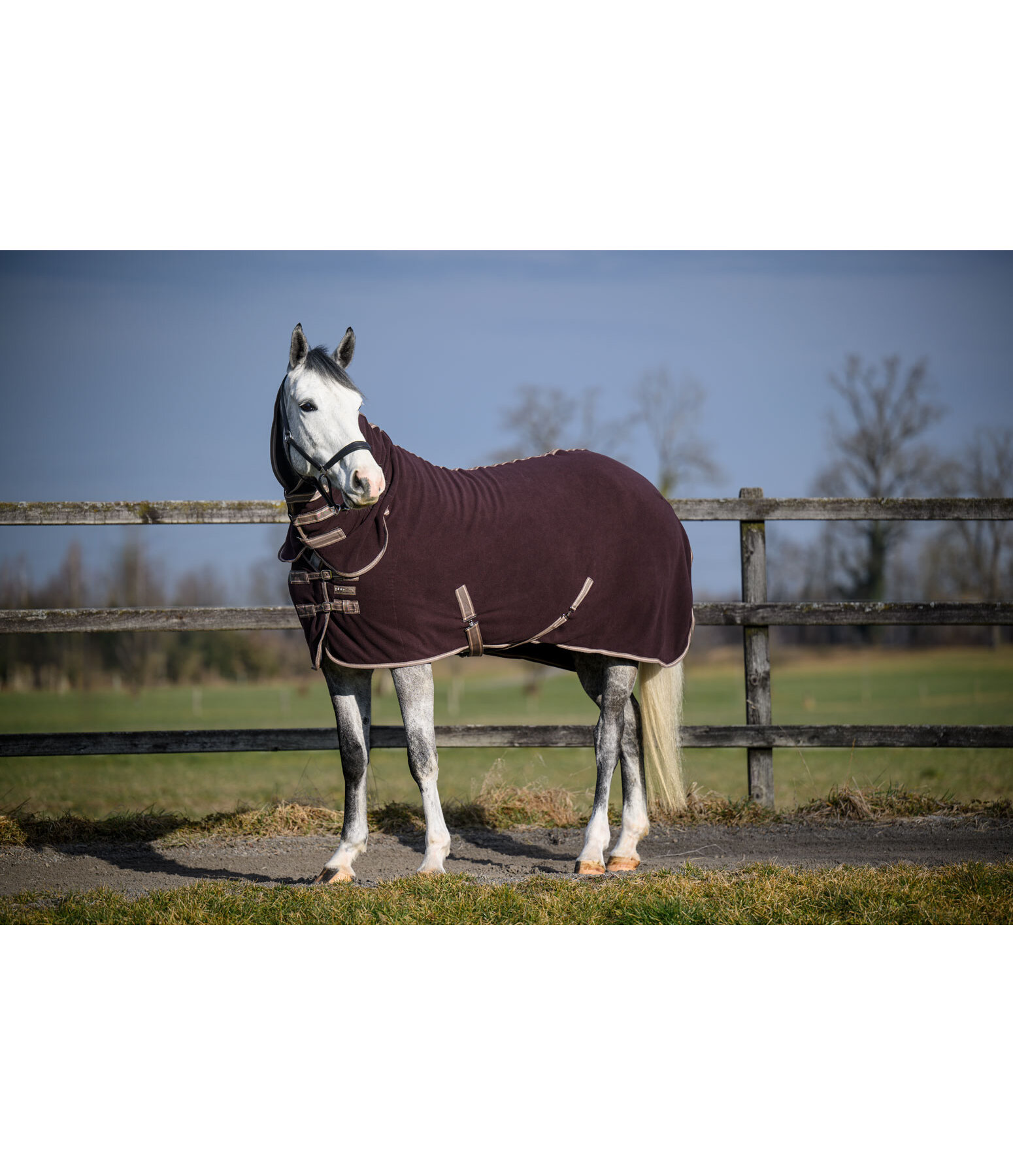 Fleece Rug Activity with Roll-up Neck Piece