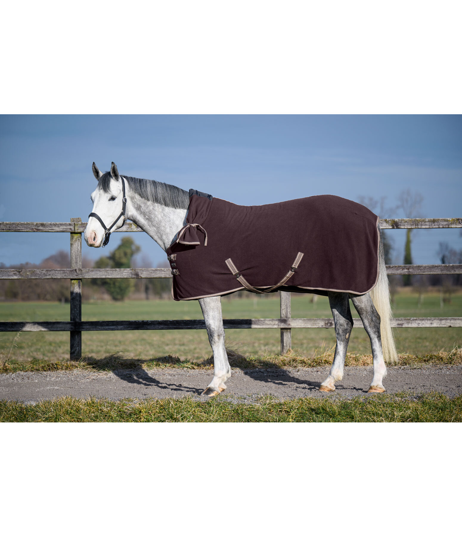 Fleece Rug Activity with Roll-up Neck Piece