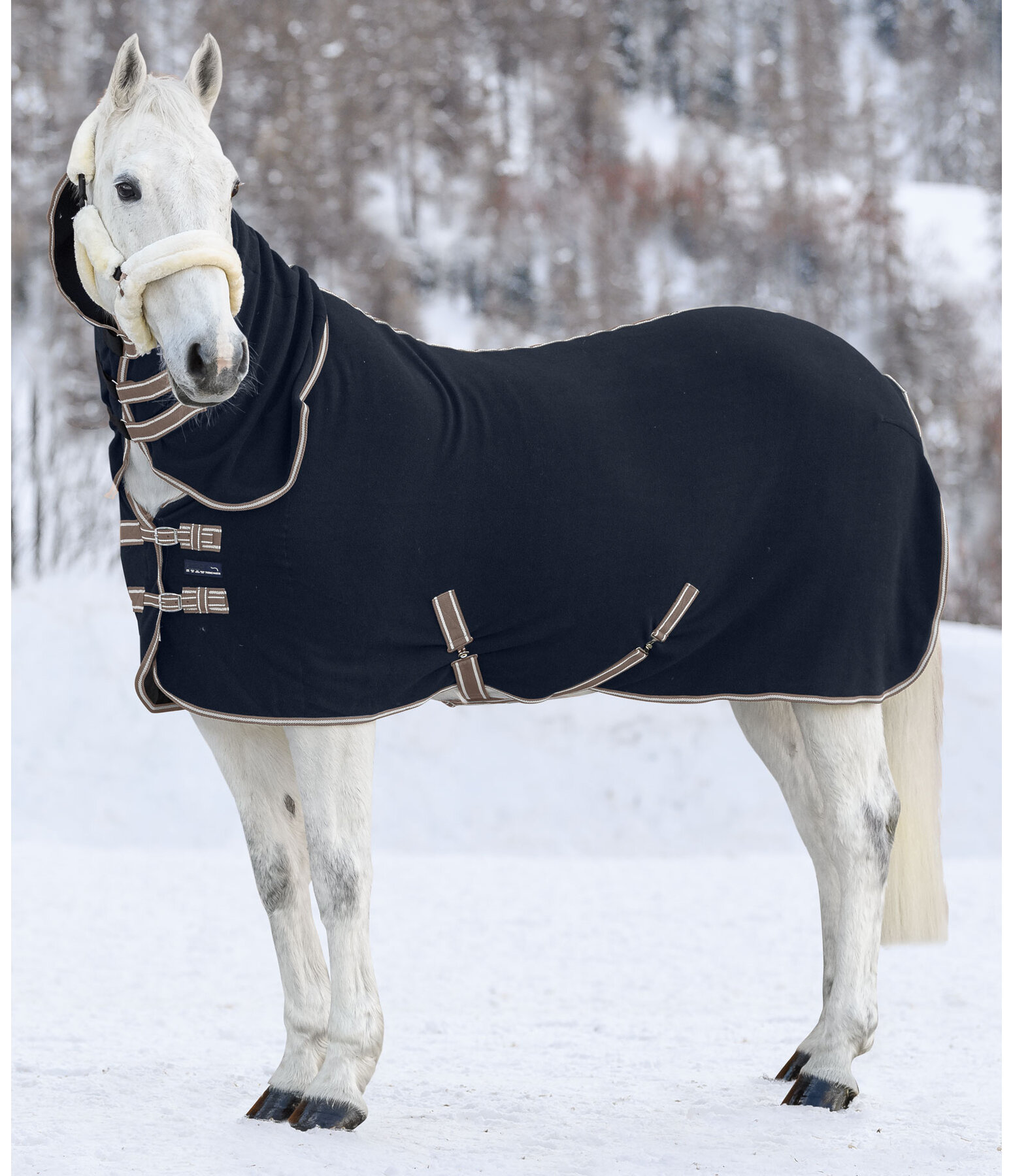Fleece Rug Activity with Roll-up Neck Piece