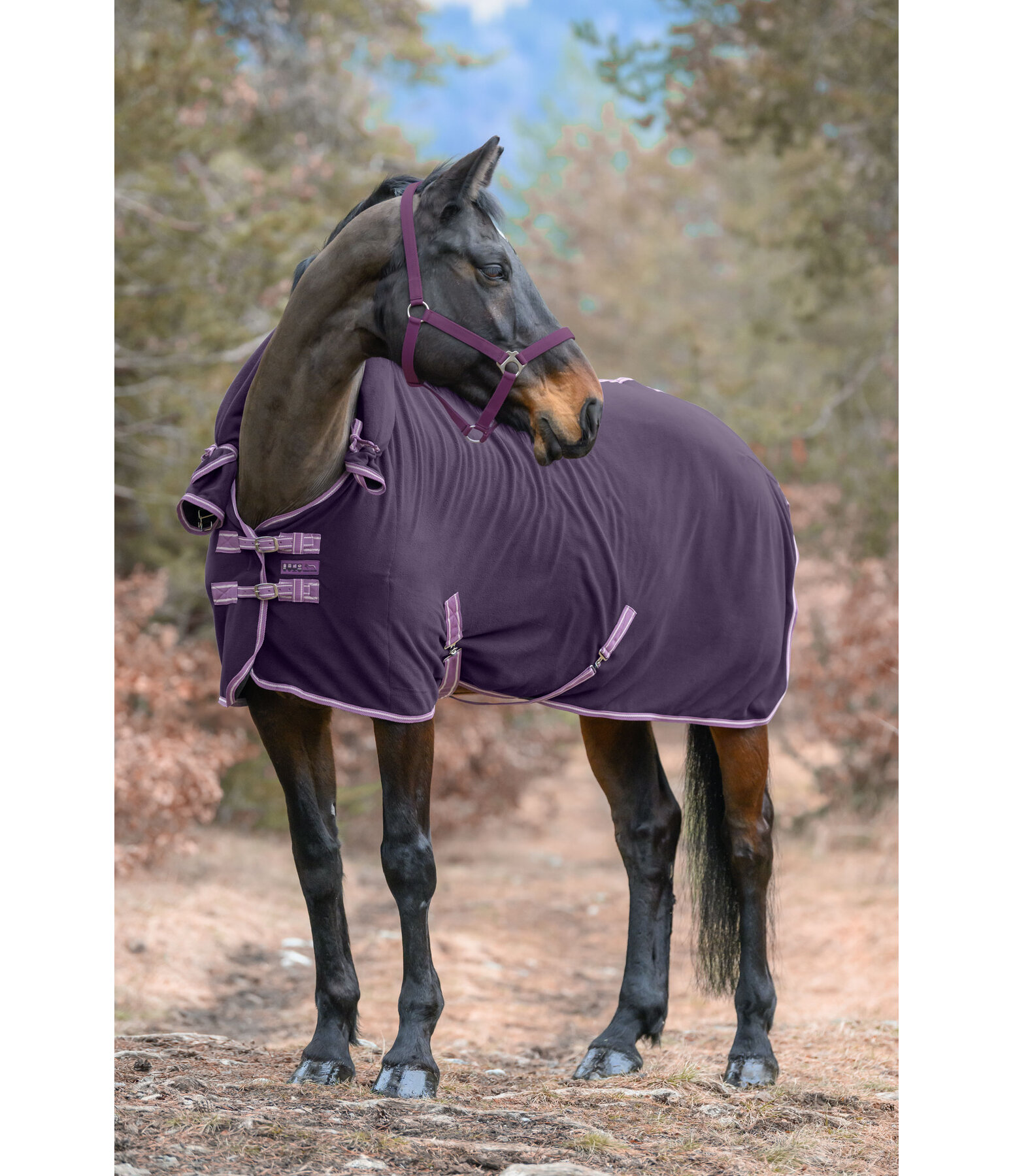 Fleece Rug Activity with Roll-up Neck Piece
