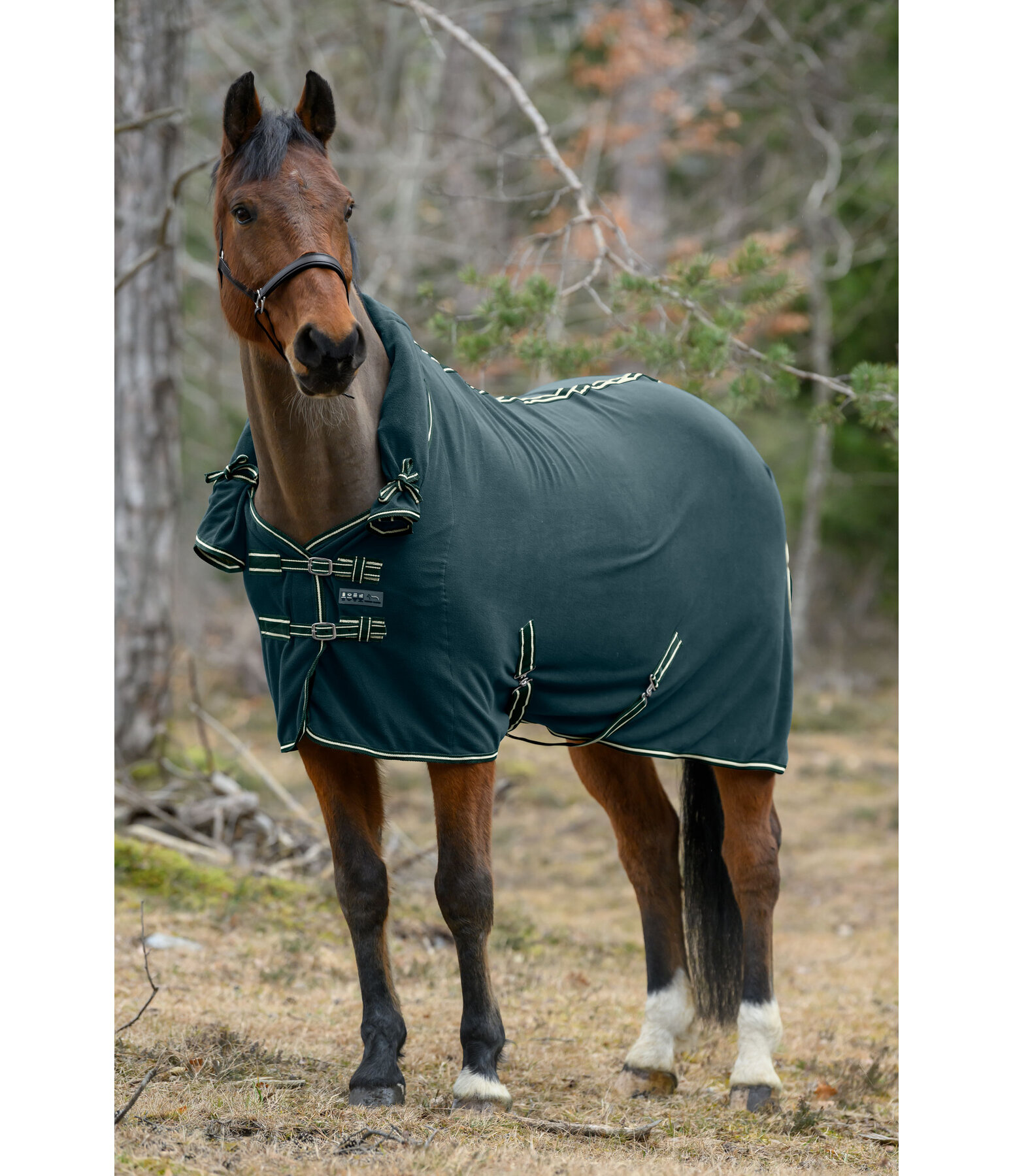 Fleece Rug Activity with Roll-up Neck Piece