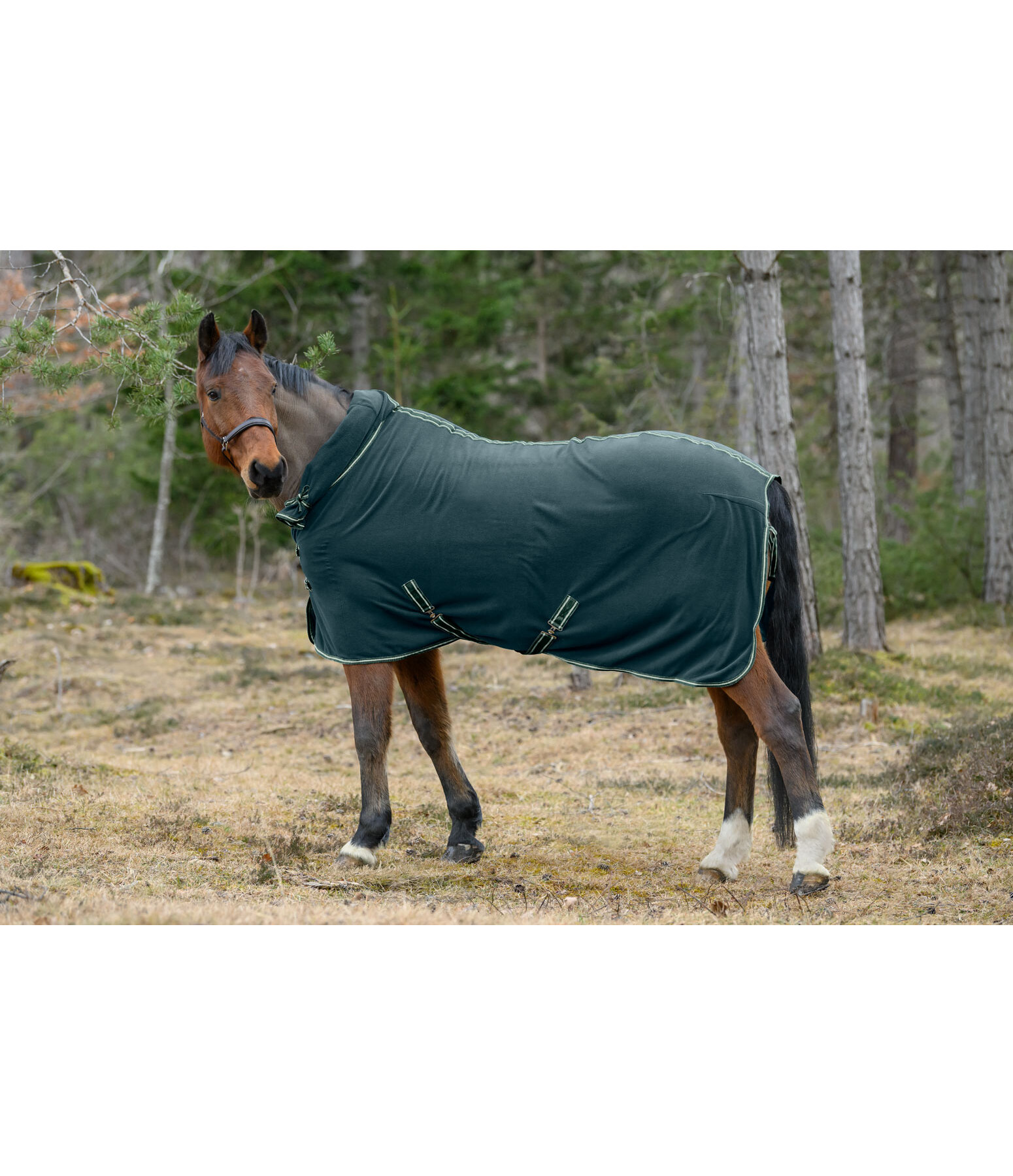 Fleece Rug Activity with Roll-up Neck Piece