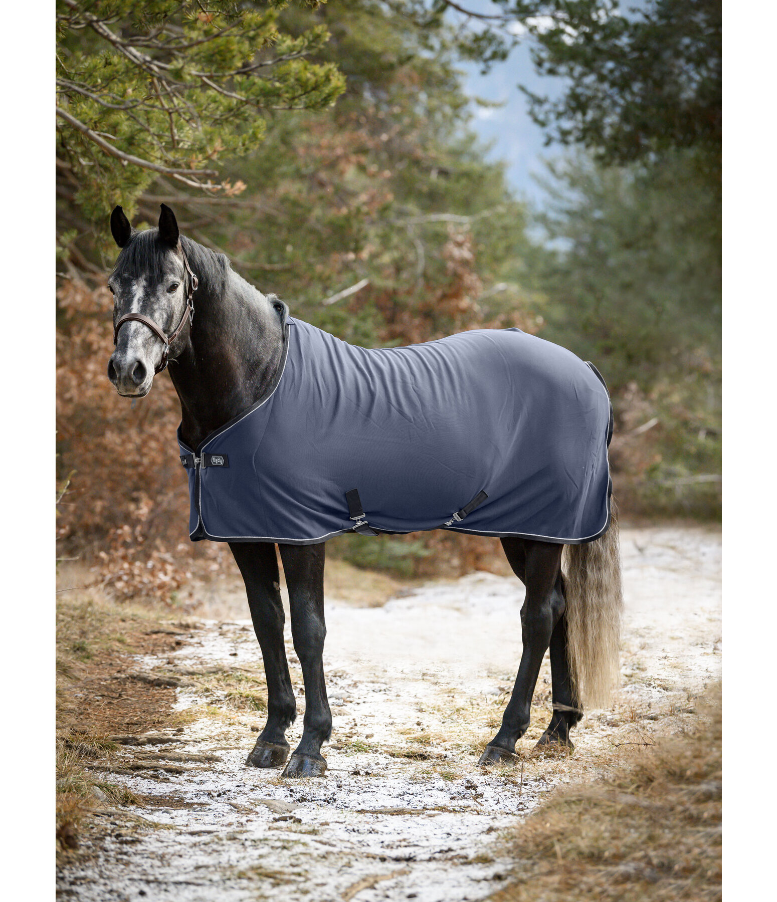 Jersey Functional Wicking Rug Essential