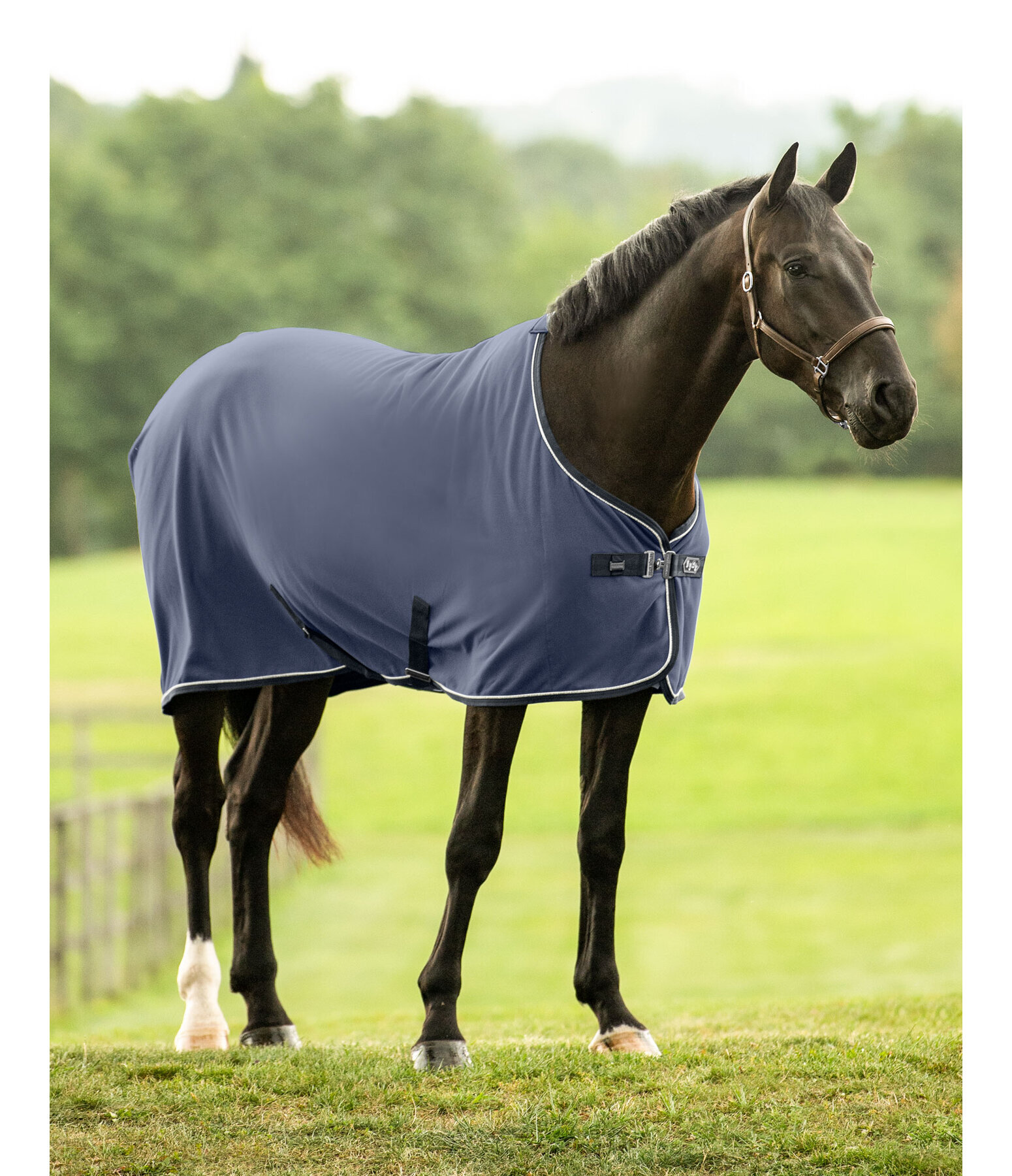 Jersey Functional Wicking Rug Essential