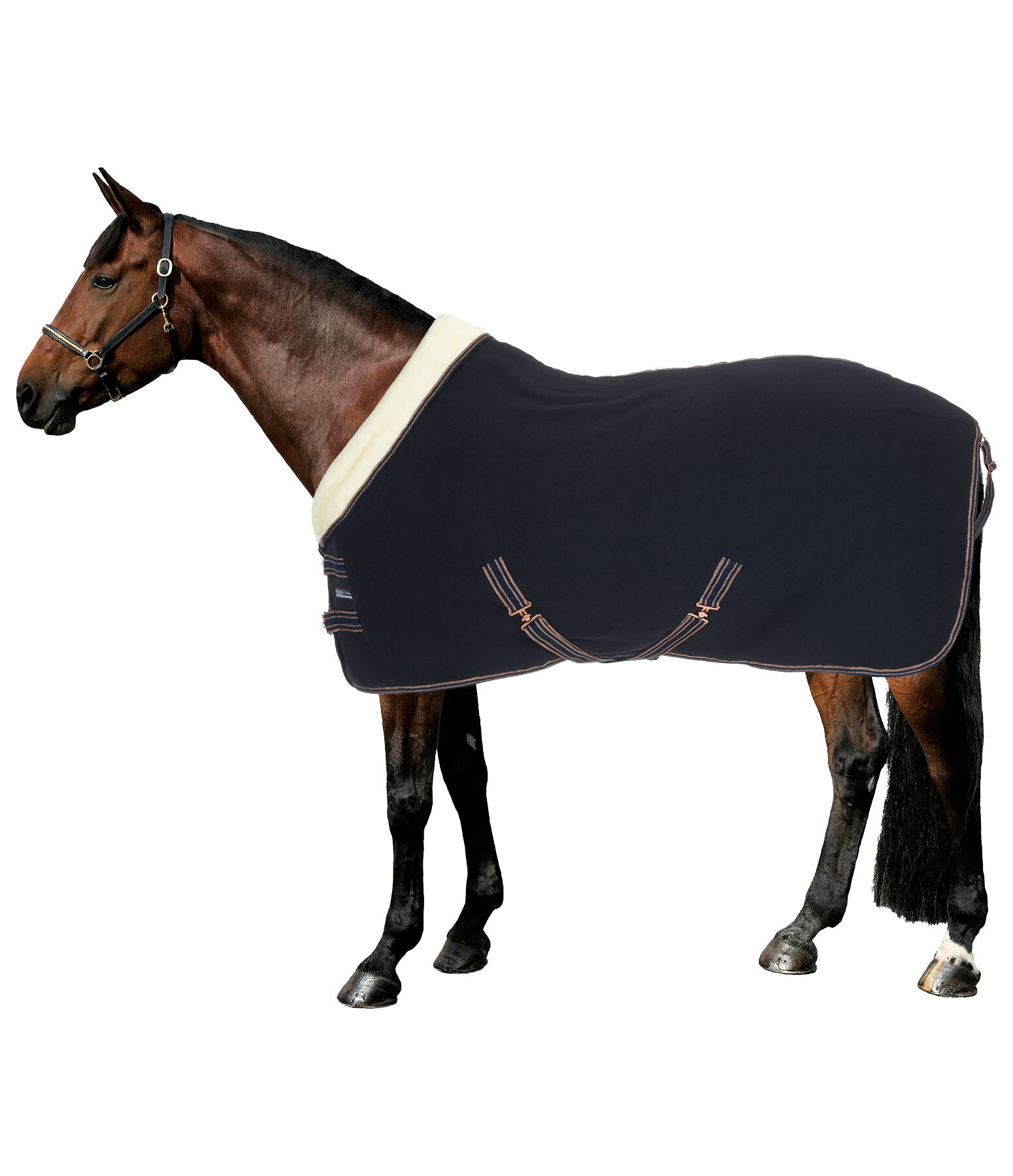 Fleece Wicking Rug Just Sparkle with Teddy Fleece Collar