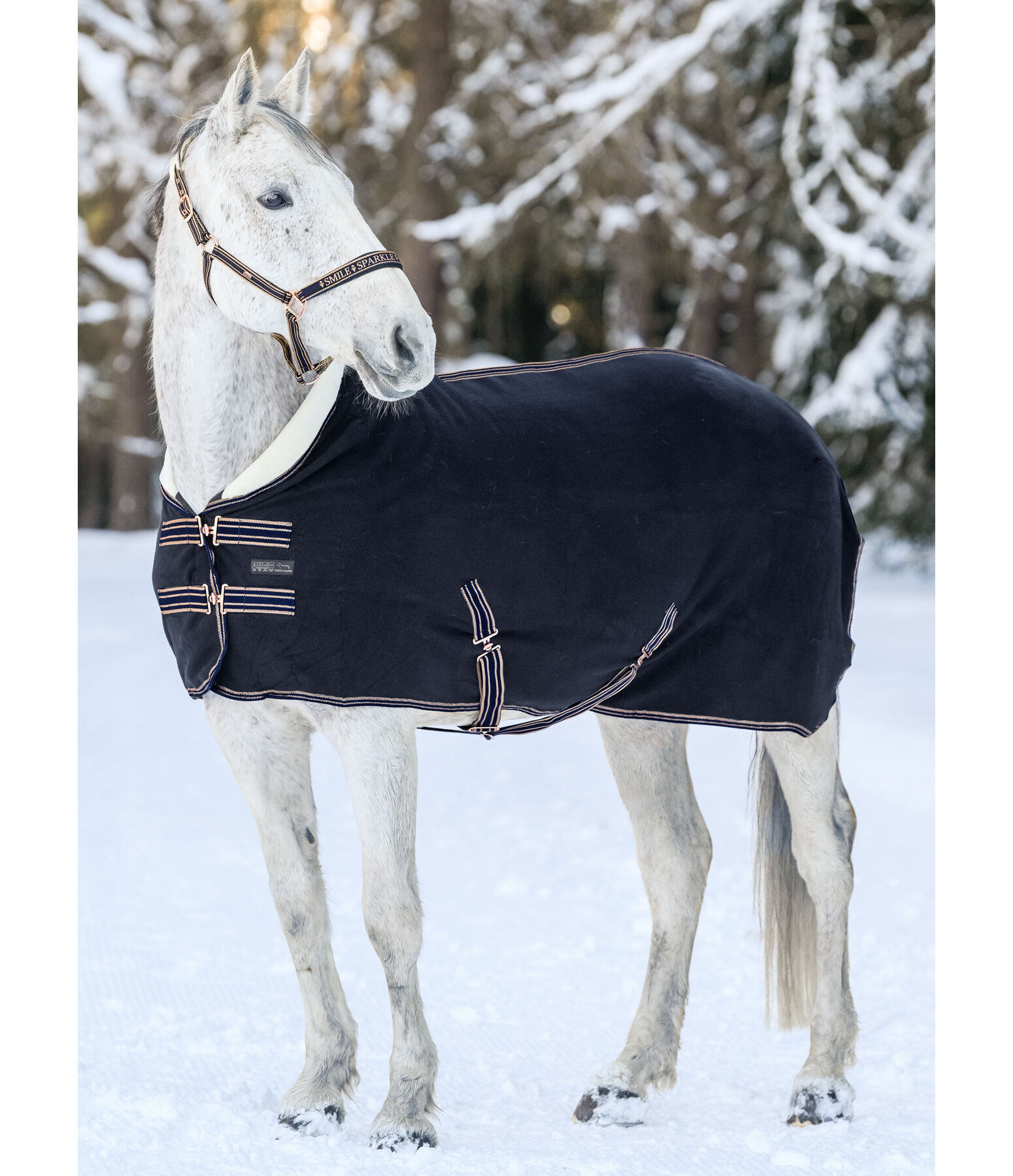 Fleece Wicking Rug Just Sparkle with Teddy Fleece Collar