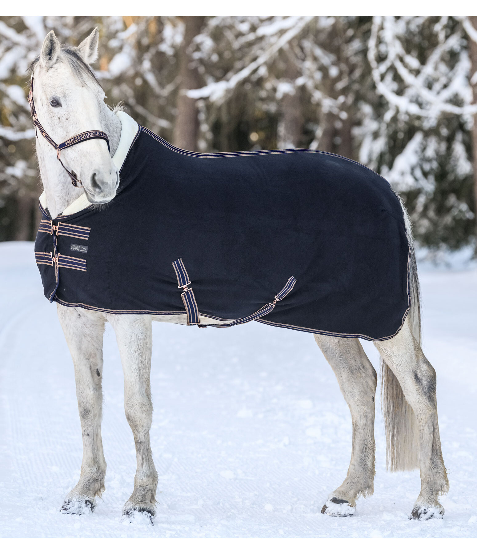 Fleece Wicking Rug Just Sparkle with Teddy Fleece Collar