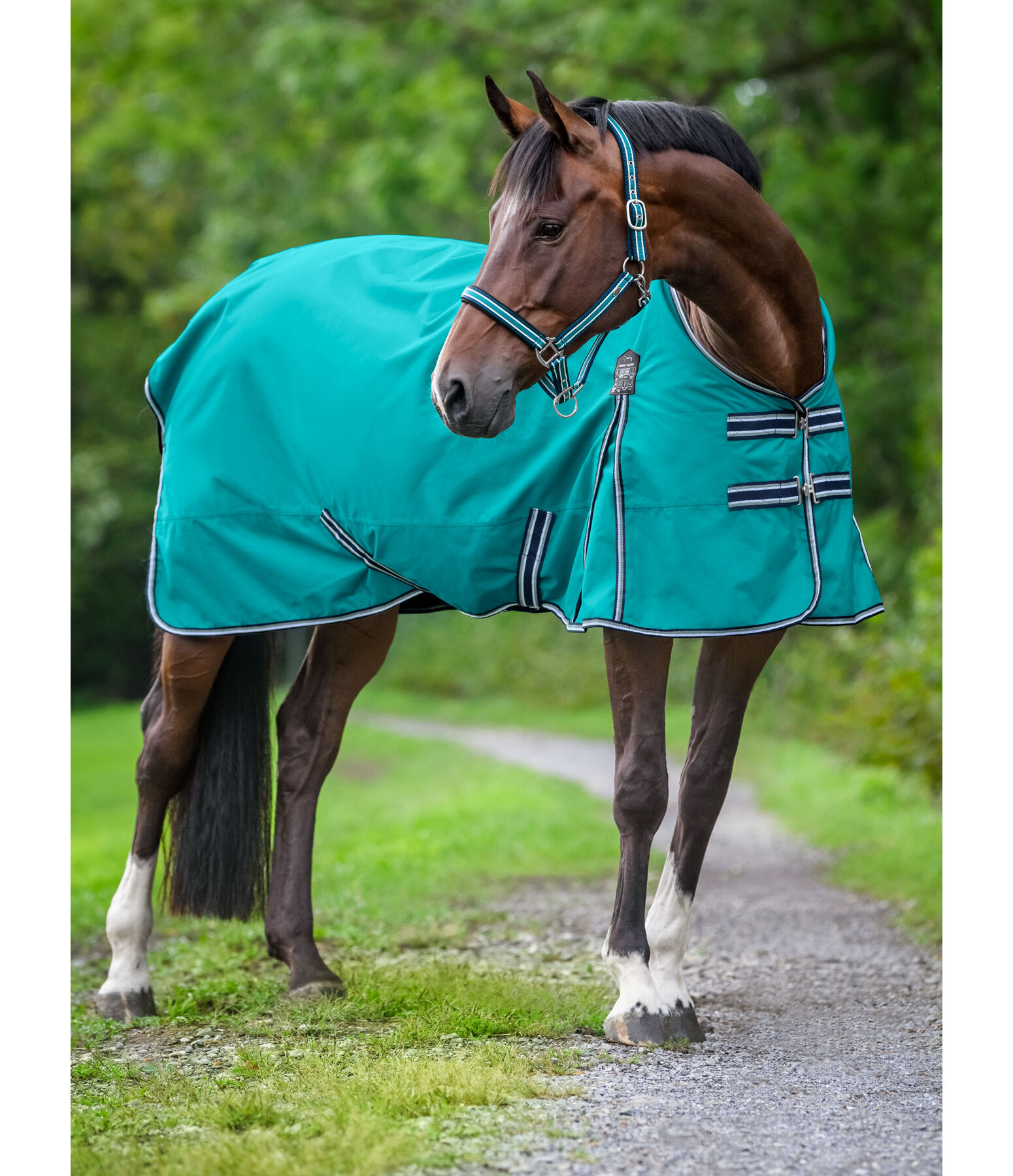 Turnout Rug Kadir IV, 50g Horse Rugs Kramer Equestrian