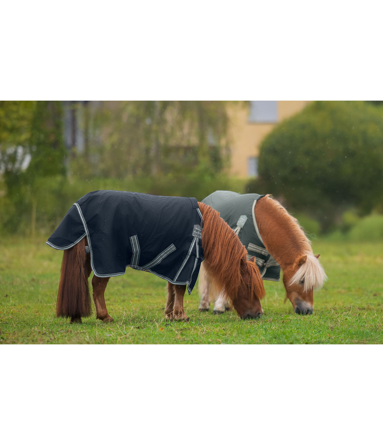 Turnout Rug Kadir IV, 50g