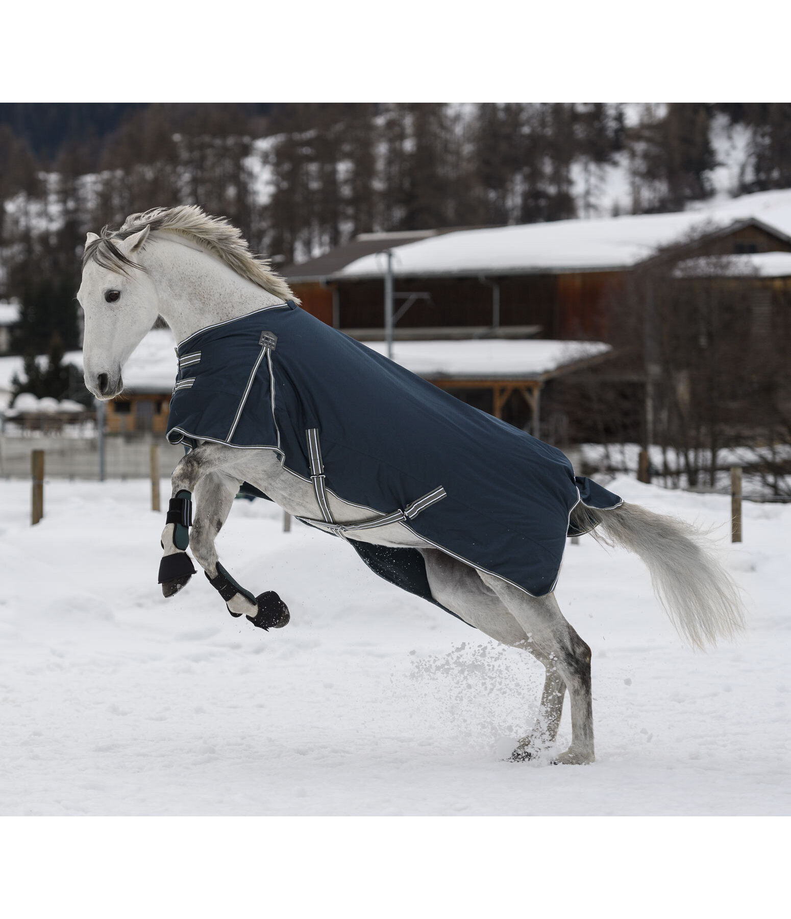 Turnout Rug Kadir IV, 50g