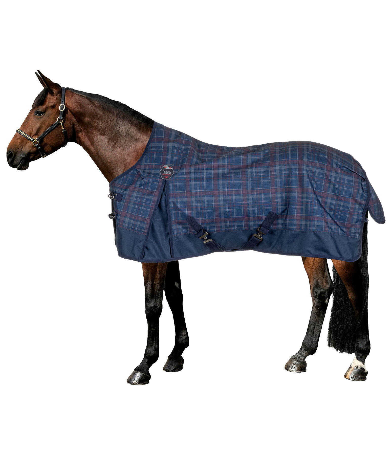 Turnout Rug William, 0g