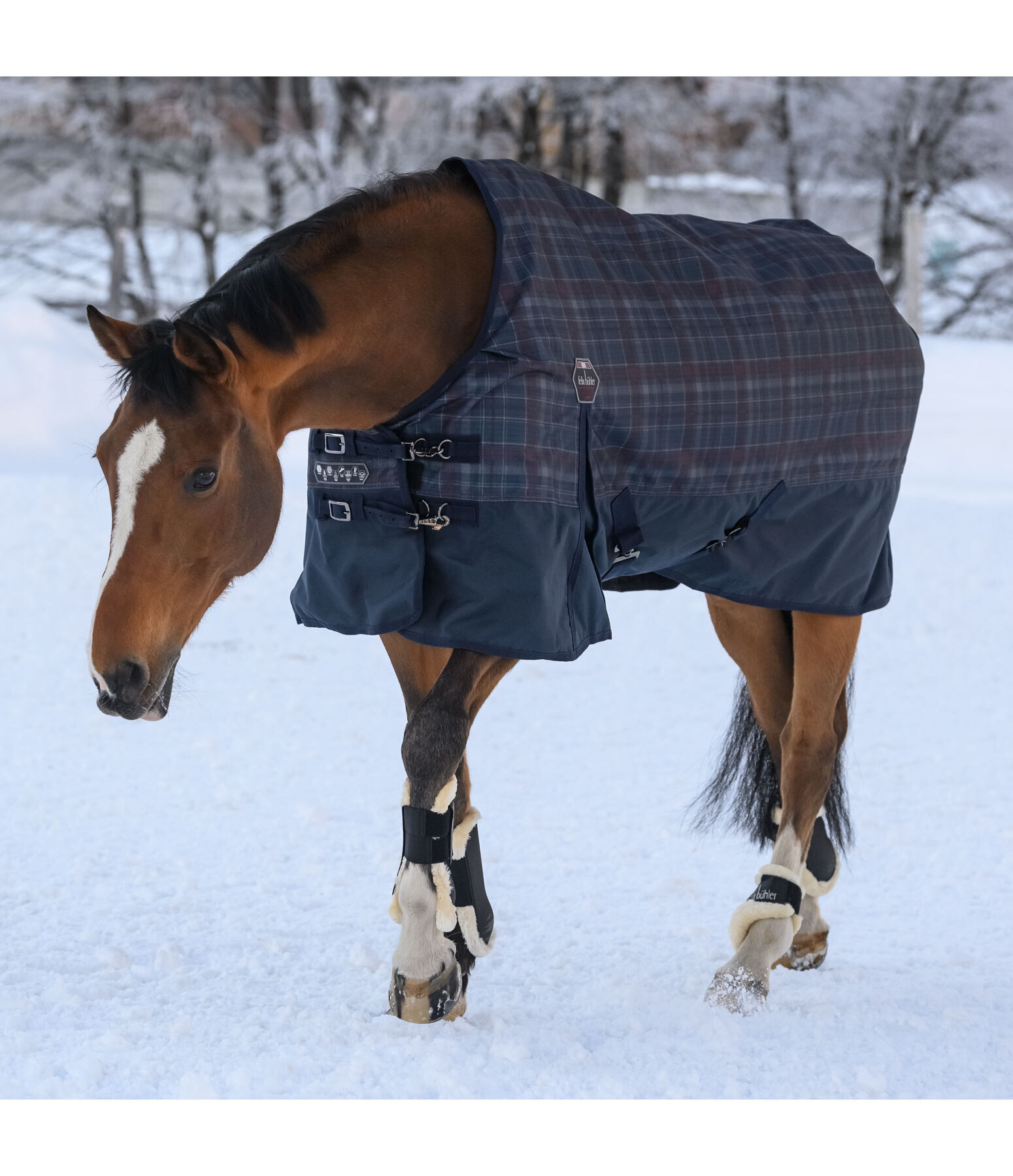 Turnout Rug William, 0g