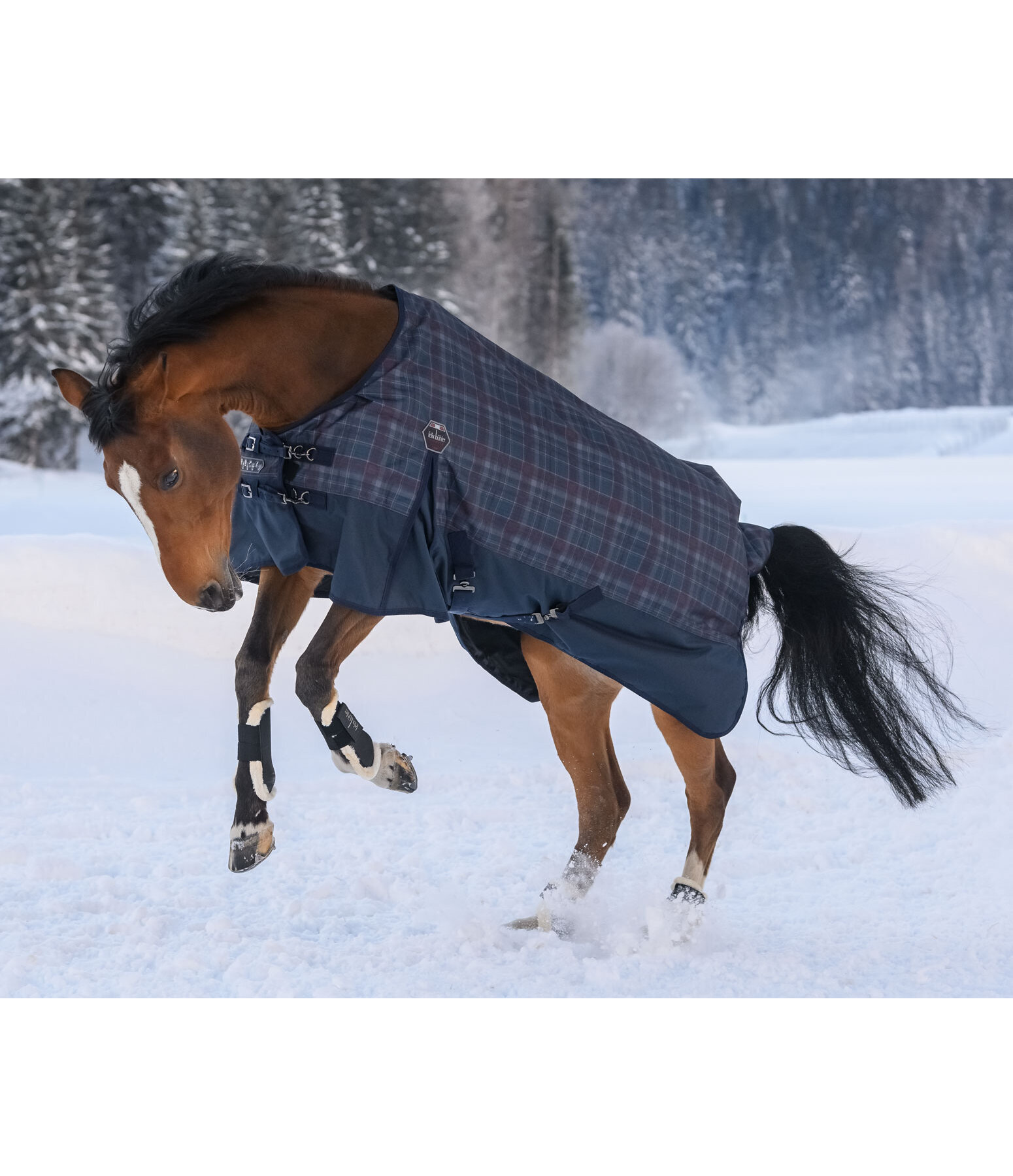 Turnout Rug William, 0g