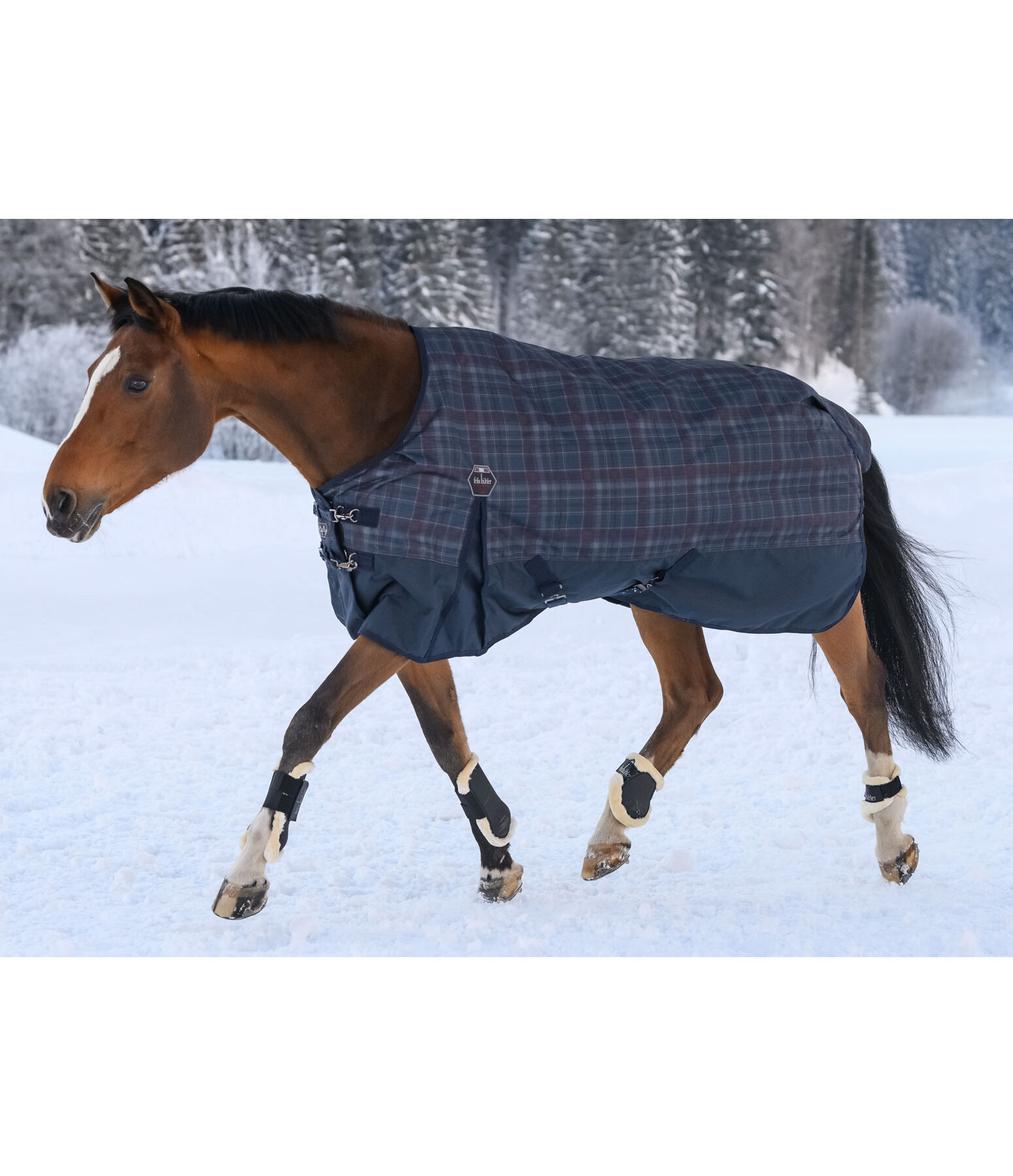 Turnout Rug William, 0g