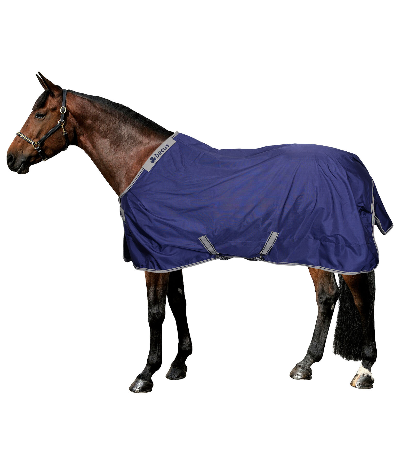 Turnout Rug Atlantic Turnout 50 Regular Neck with Dermo-Care, 50g