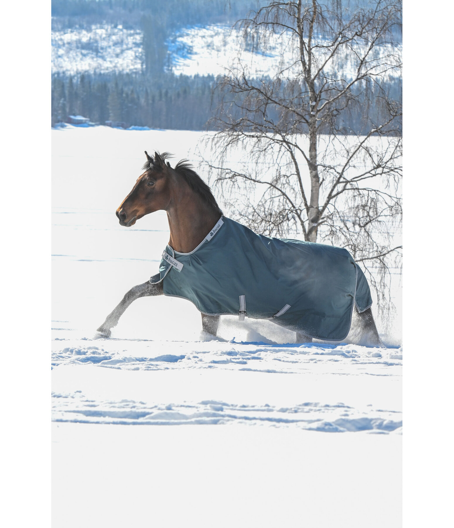 Turnout Rug Atlantic Turnout 50 Regular Neck with Dermo-Care, 50g