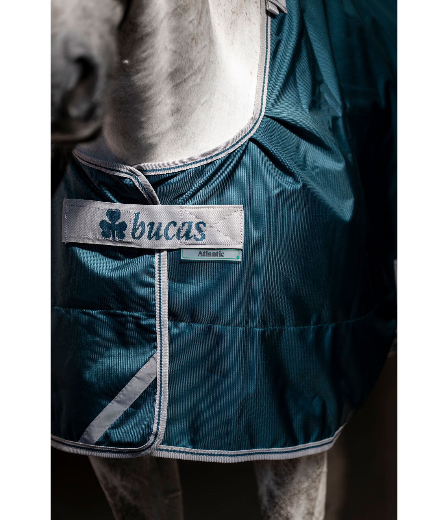 Turnout Rug Atlantic Turnout 50 Regular Neck with Dermo-Care, 50g