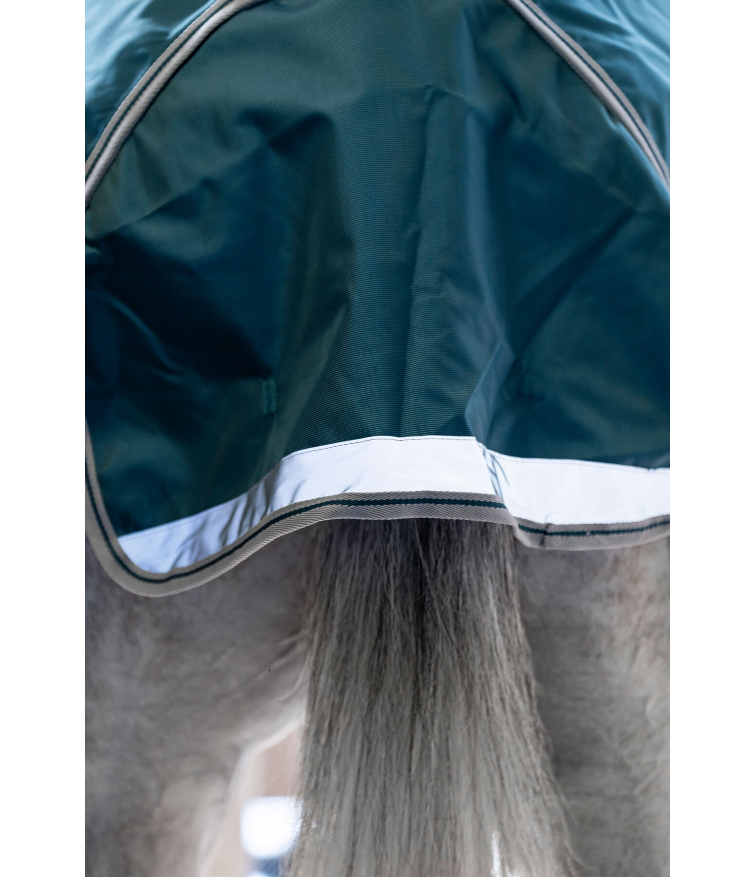 Turnout Rug Atlantic Turnout 50 Regular Neck with Dermo-Care, 50g