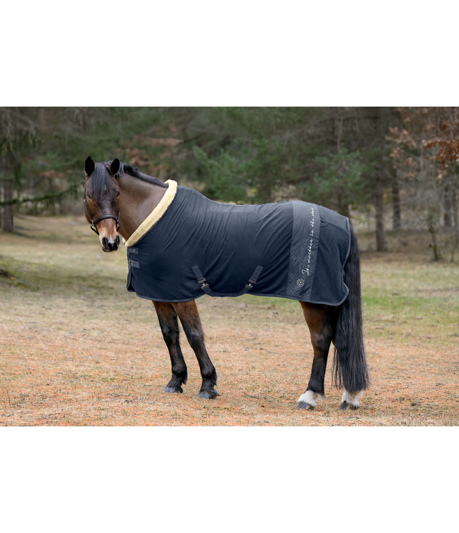 Collection Wicking Rug Astro