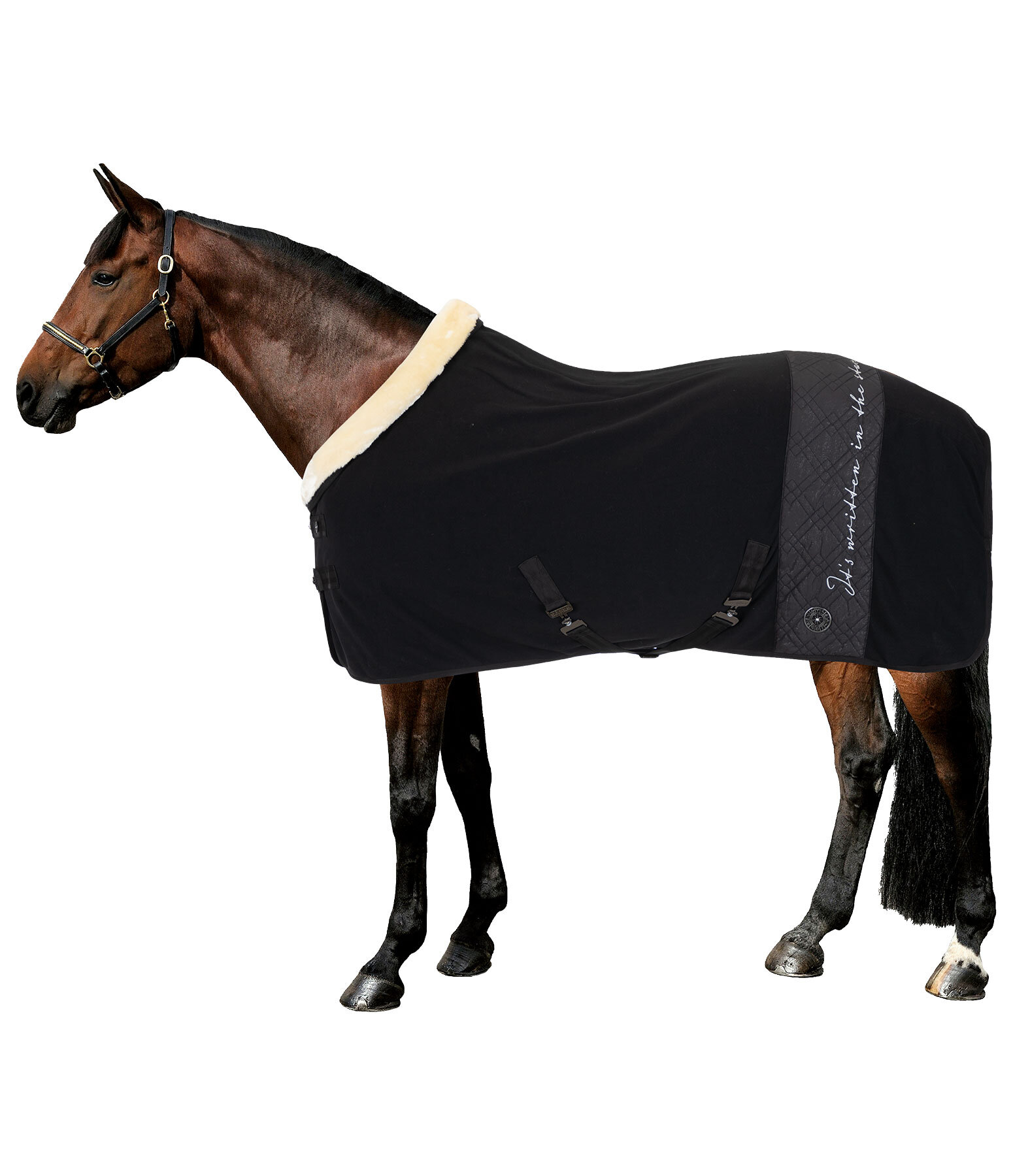 Collection Wicking Rug Astro