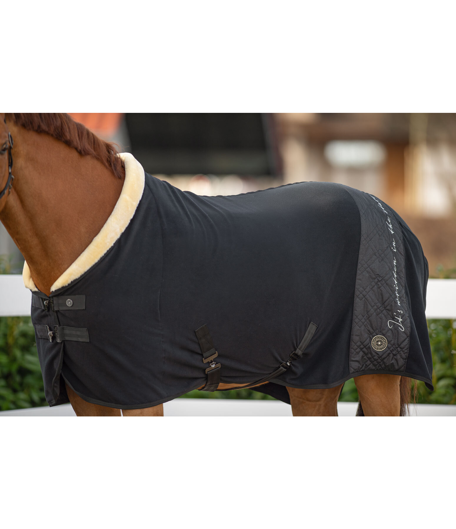 Collection Wicking Rug Astro