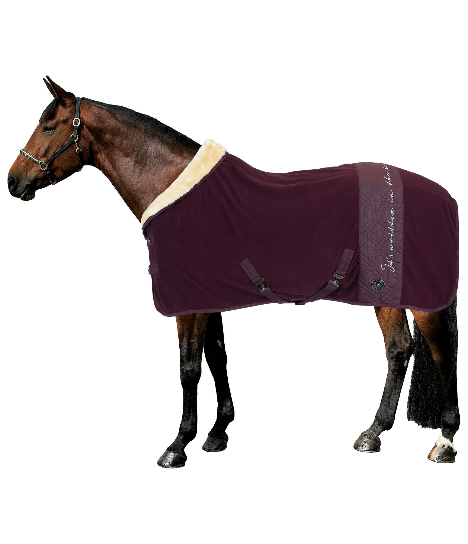 Collection Wicking Rug Astro