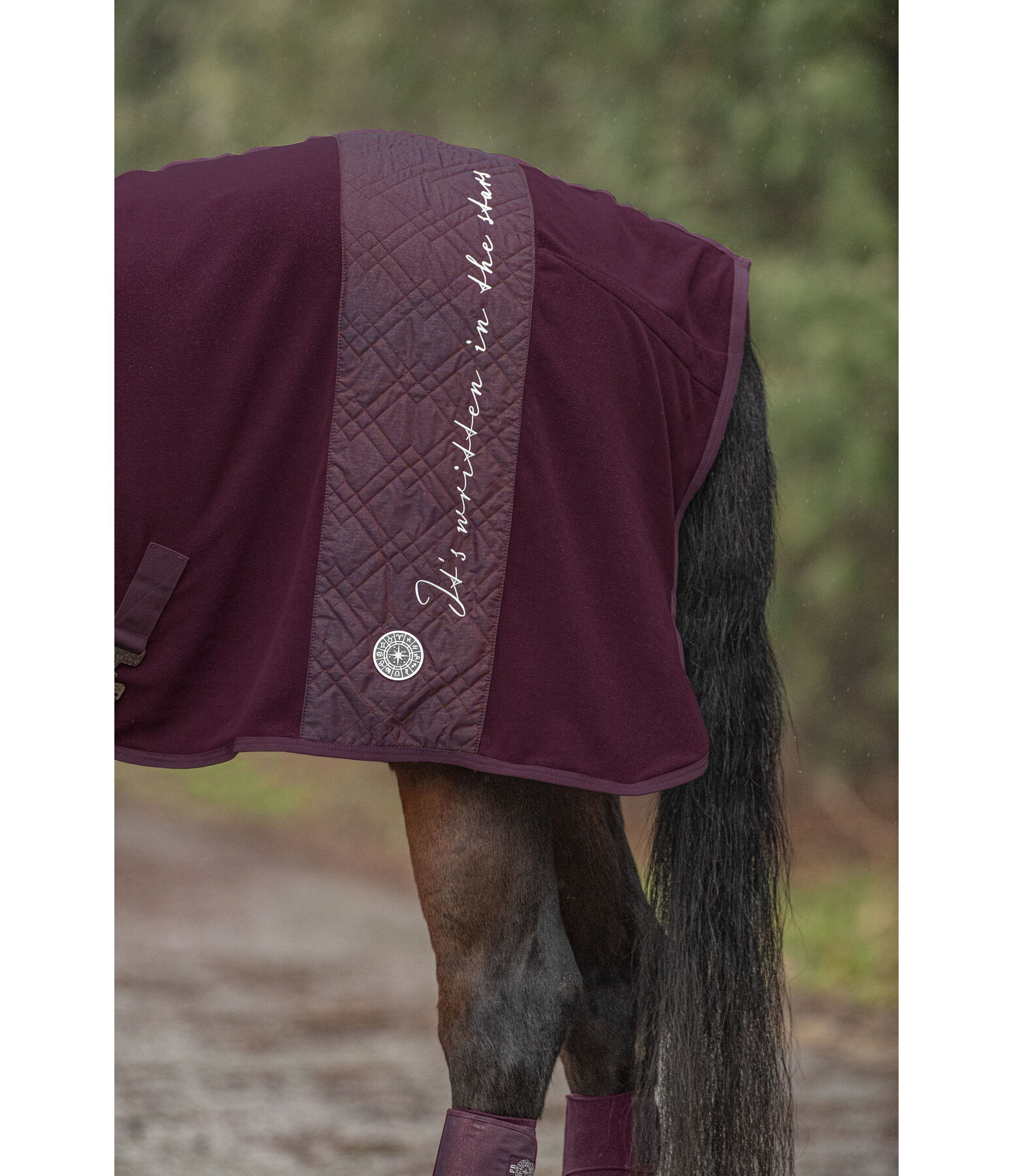 Collection Wicking Rug Astro