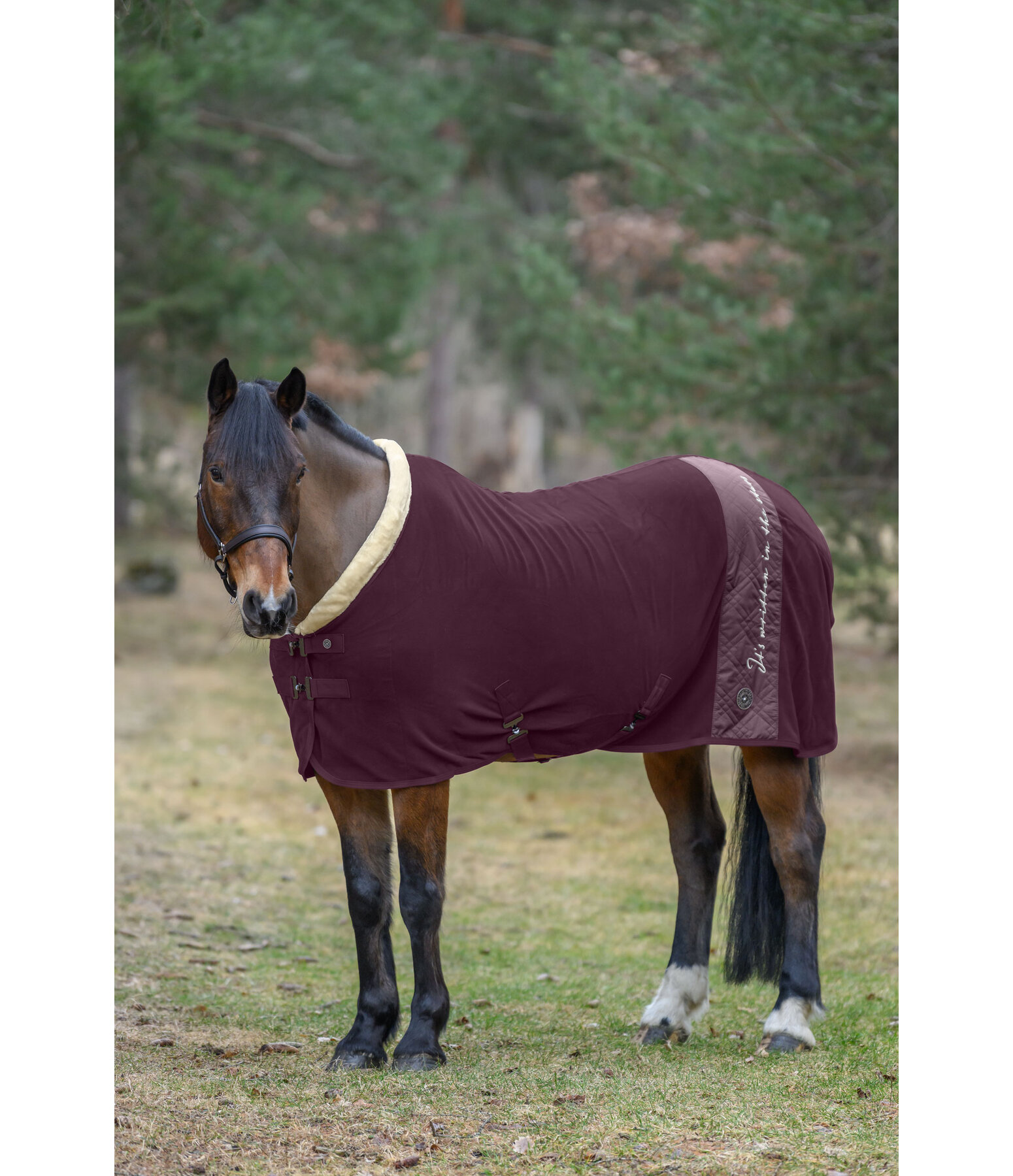 Collection Wicking Rug Astro