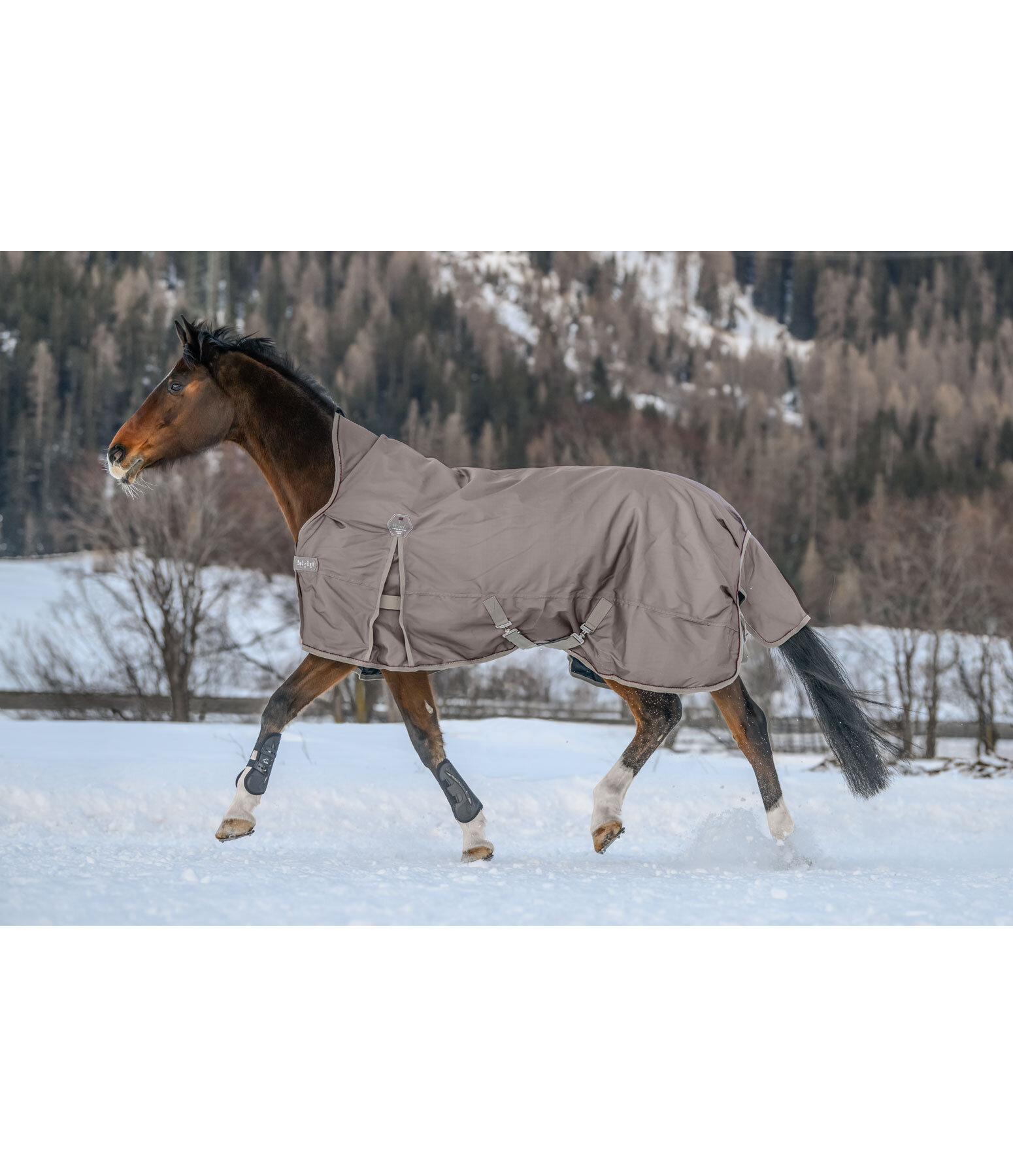 High Neck Turnout Rug Rain Shield, 50g