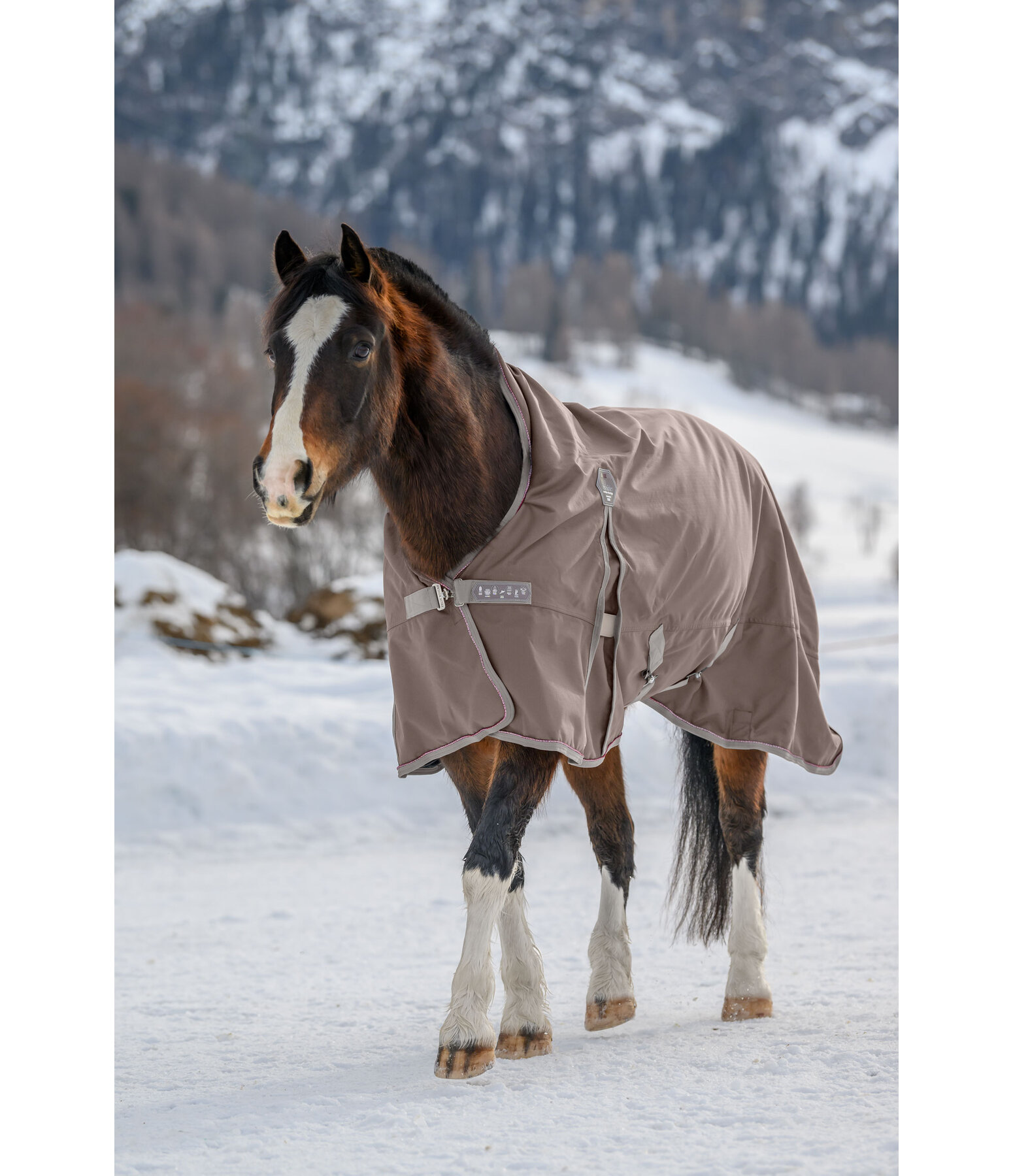 High Neck Turnout Rug Rain Shield, 50g