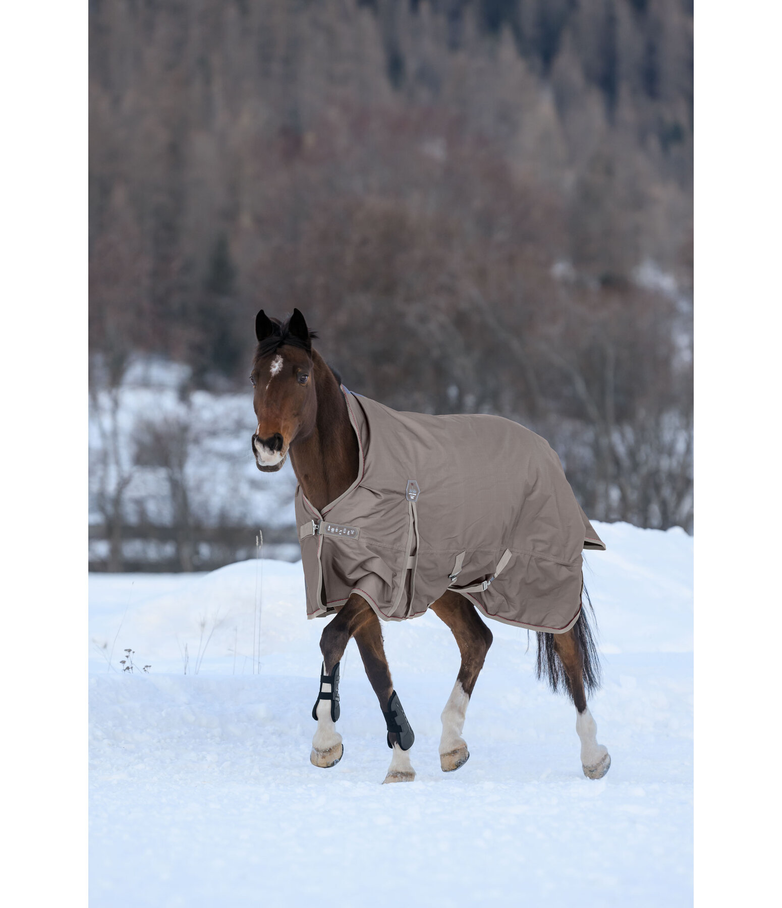 High Neck Turnout Rug Rain Shield, 200g