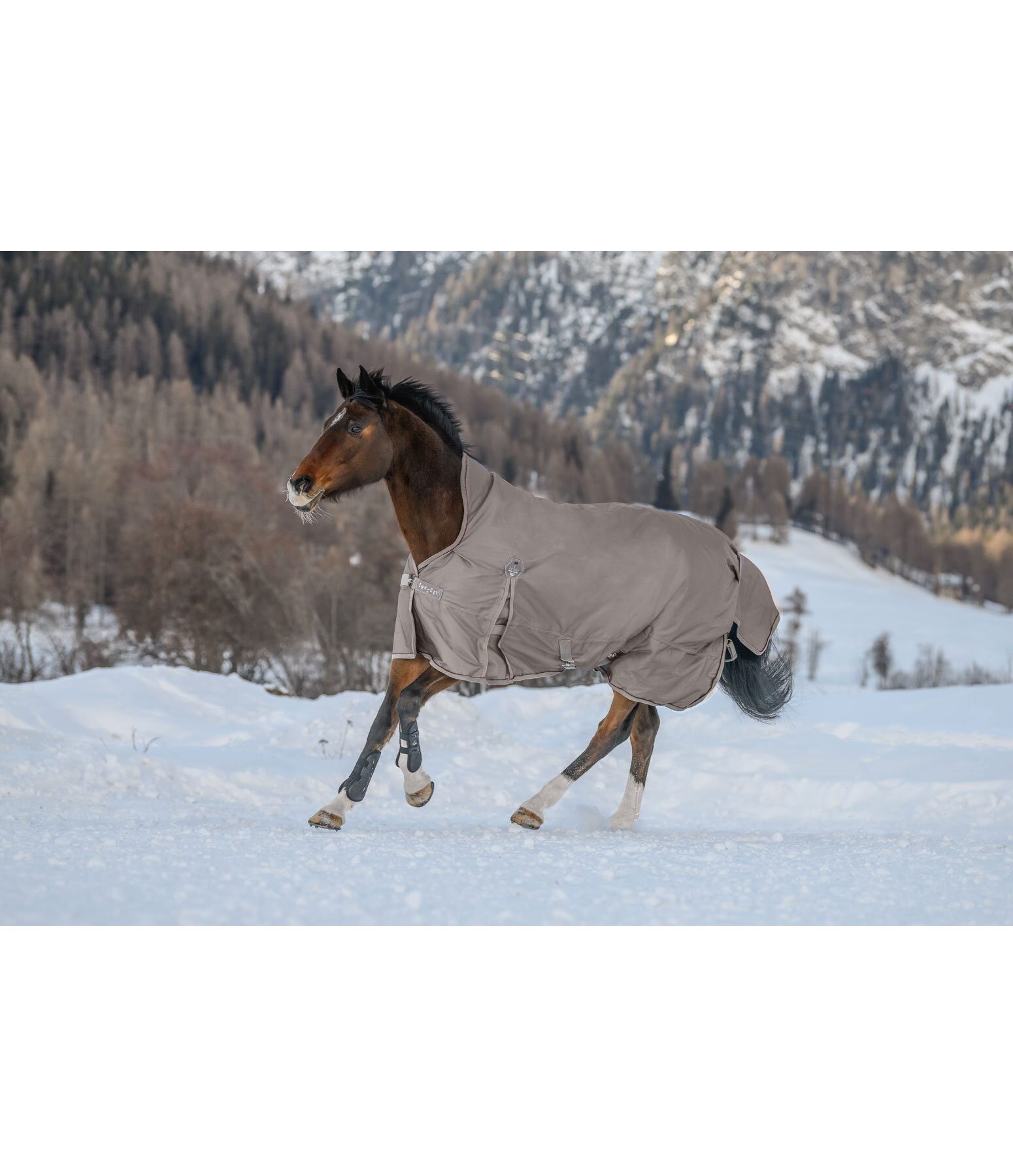 High Neck Turnout Rug Rain Shield, 200g