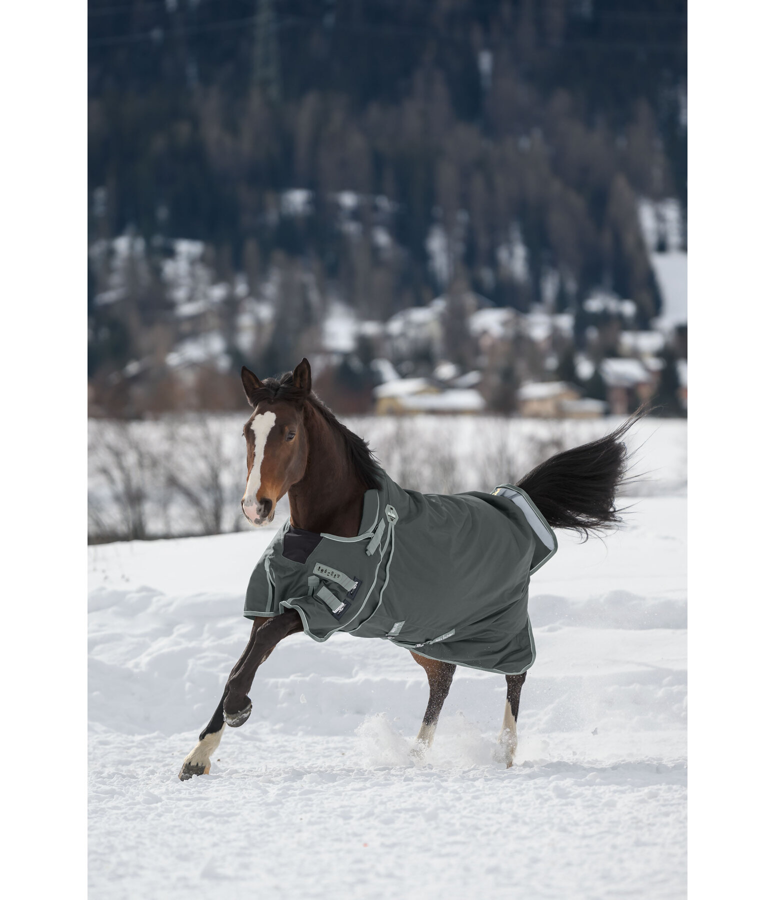 High Neck Turnout Rug Side Closure II